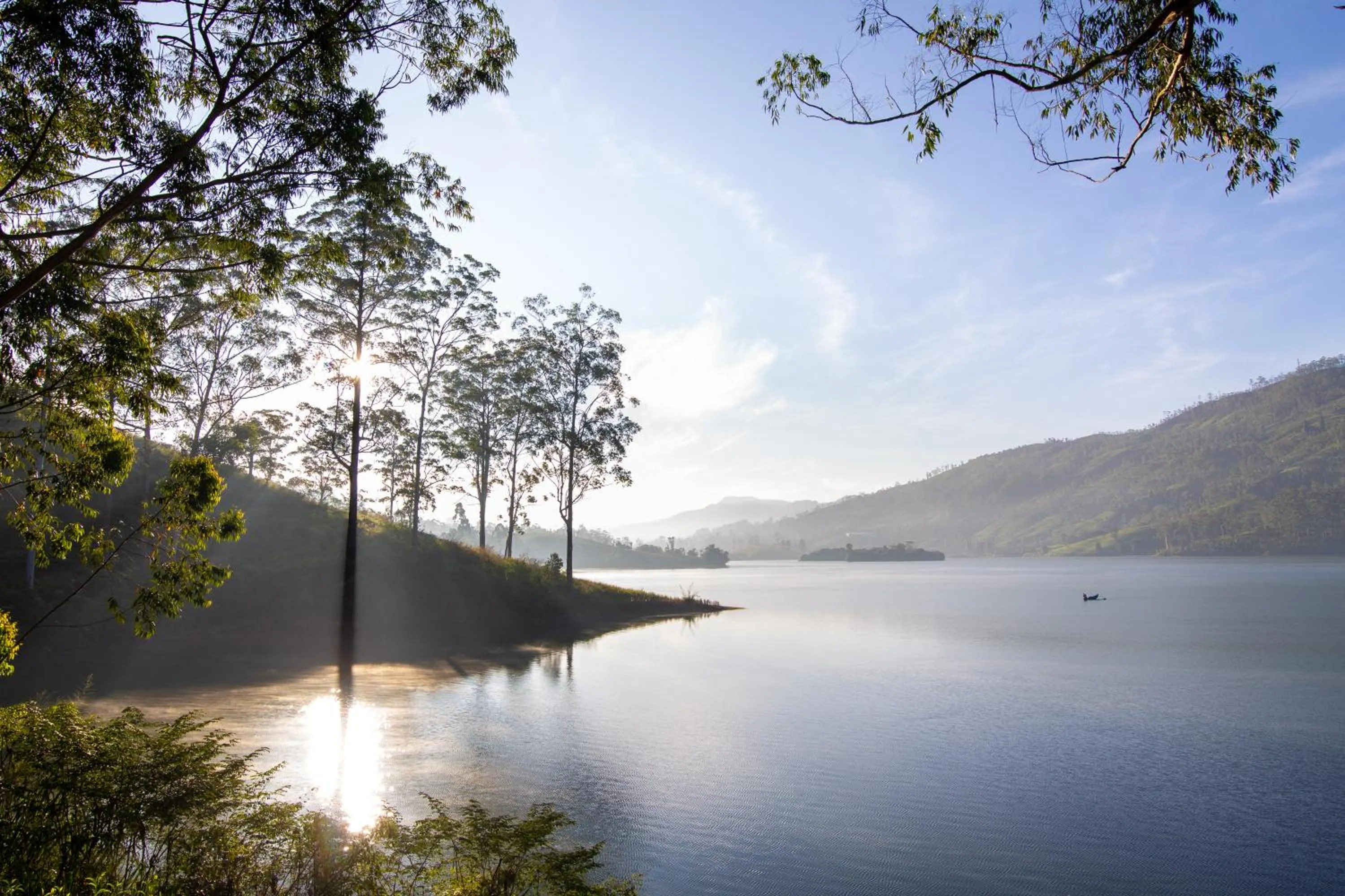 Natural landscape in The Farm Resorts