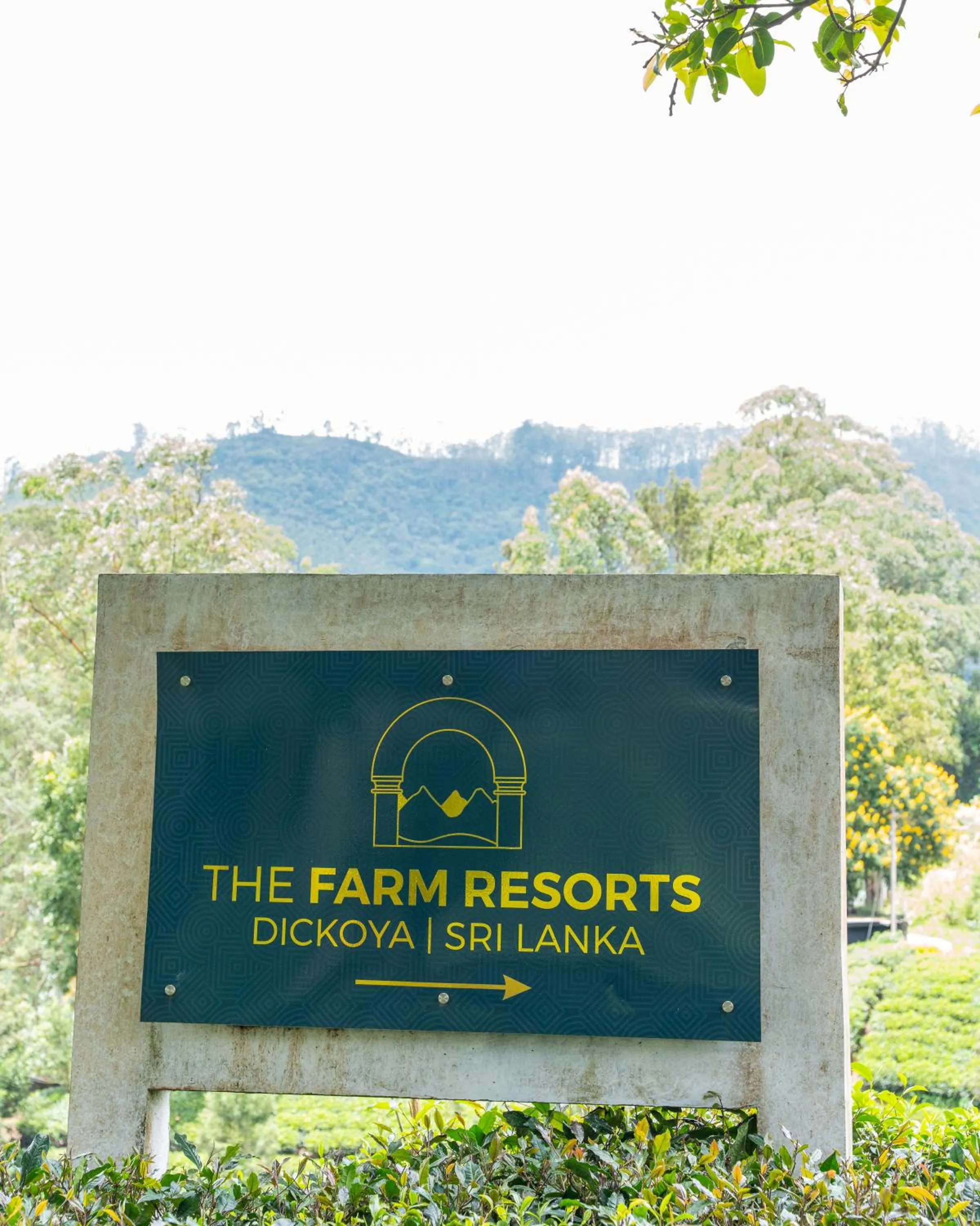 The Farm Resorts