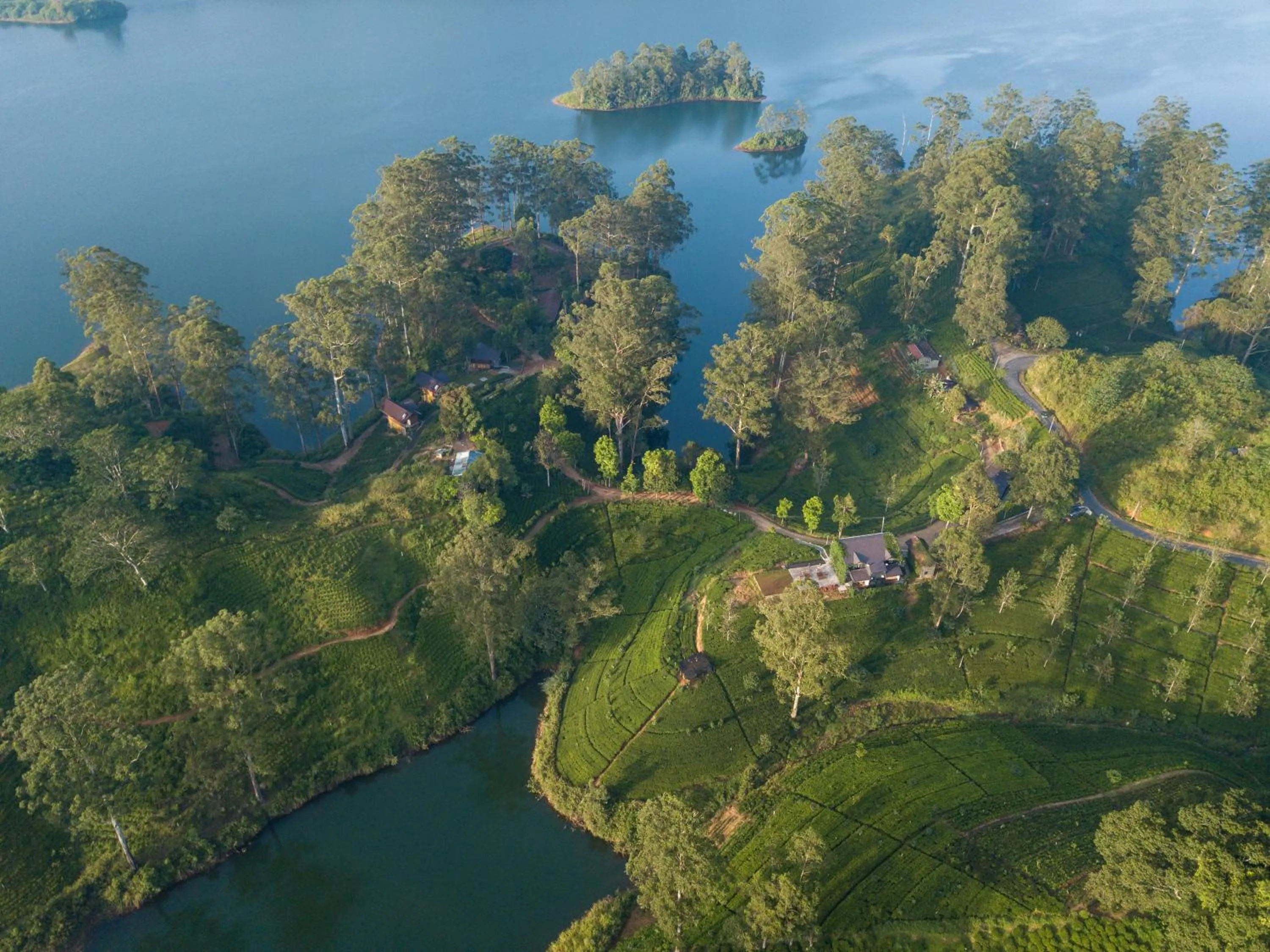 Bird's eye view in The Farm Resorts