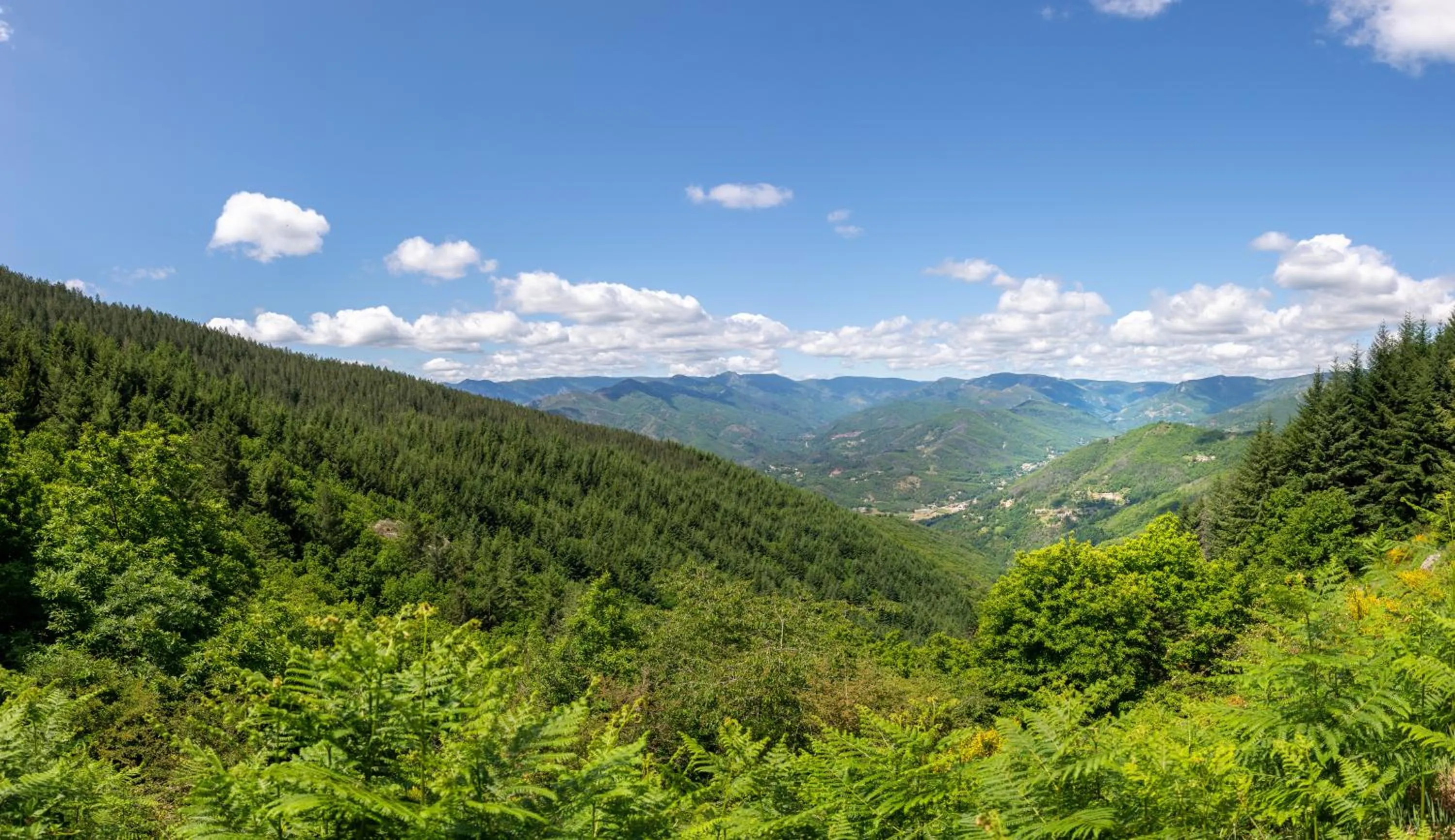 View (from property/room) in La Calade Chambres d'Hôtes & Espace Bien-Etre