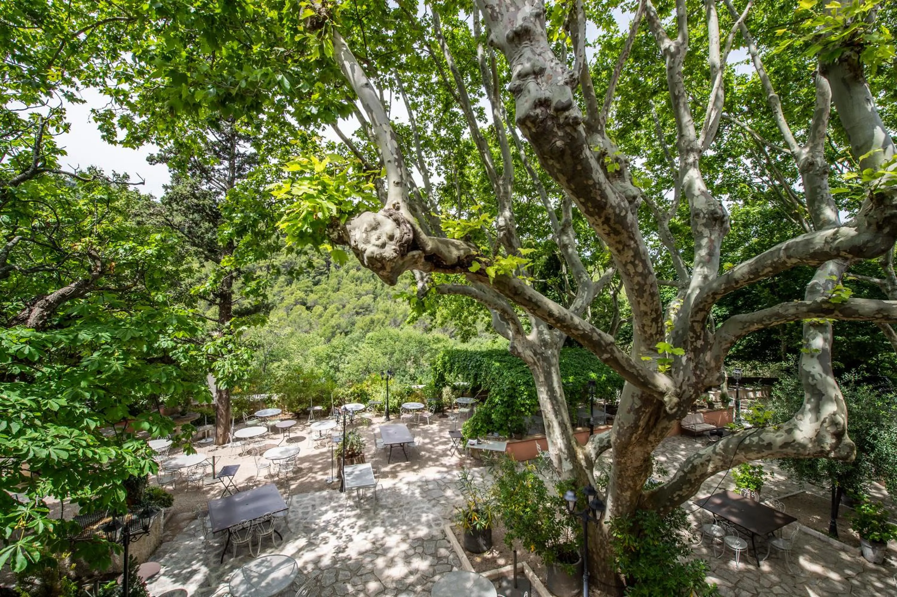 Natural landscape in Les Florets