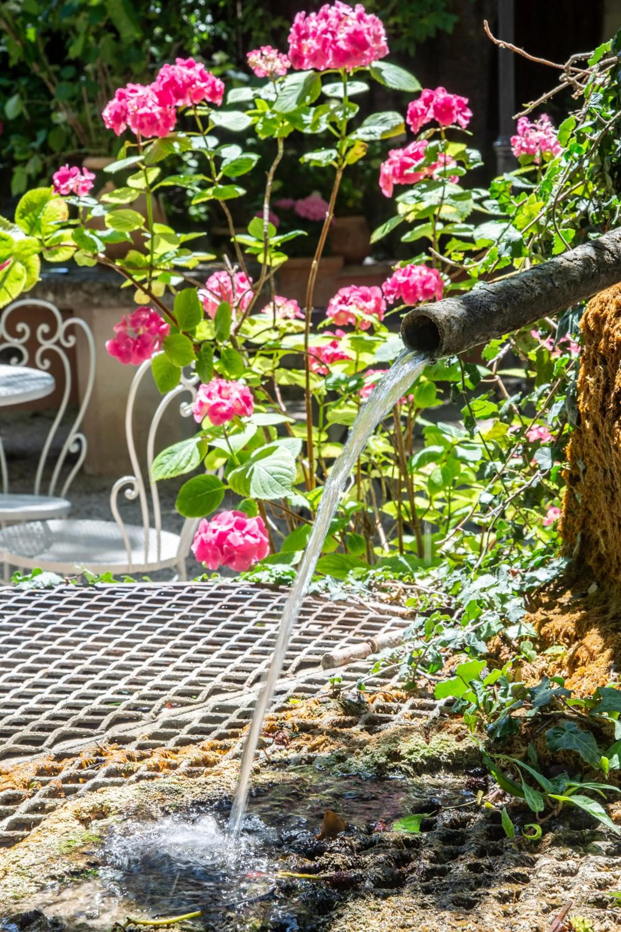 Garden in Les Florets