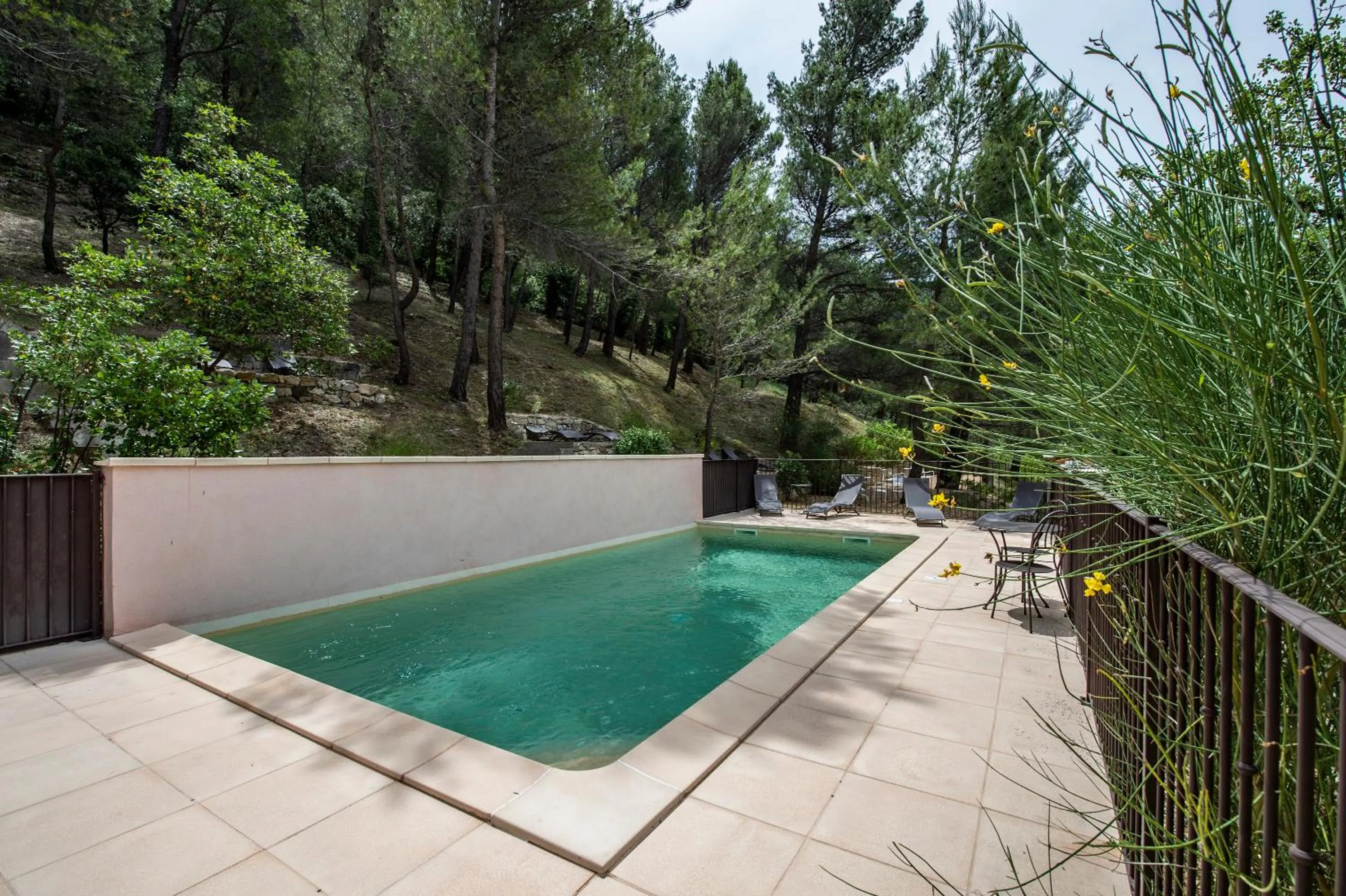 Swimming pool in Les Florets