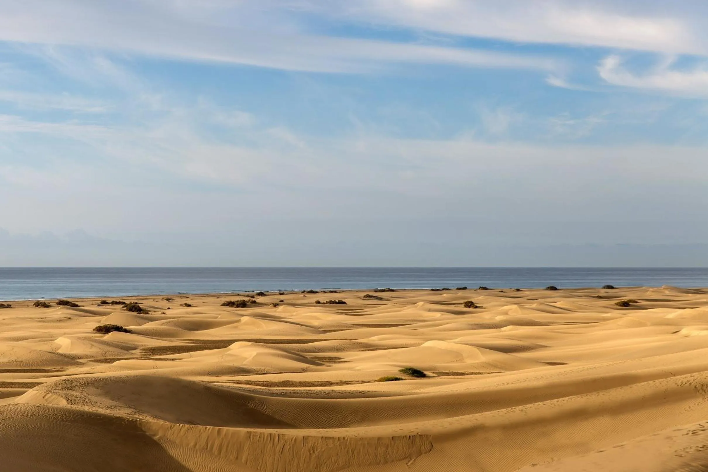 Other in Santa Monica Suites Hotel