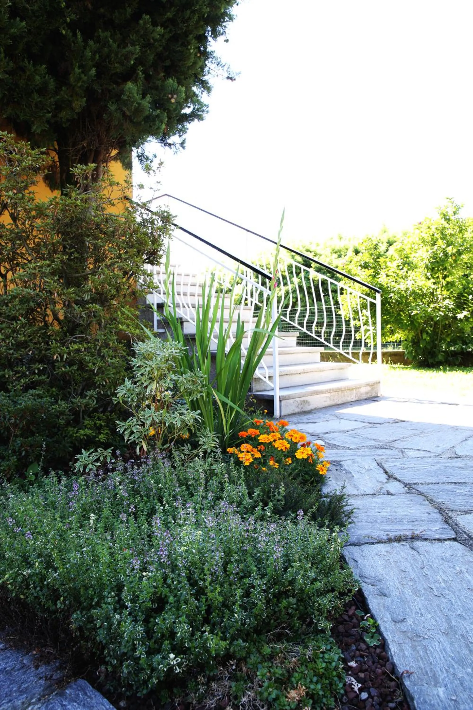 Garden in Casamia B&B