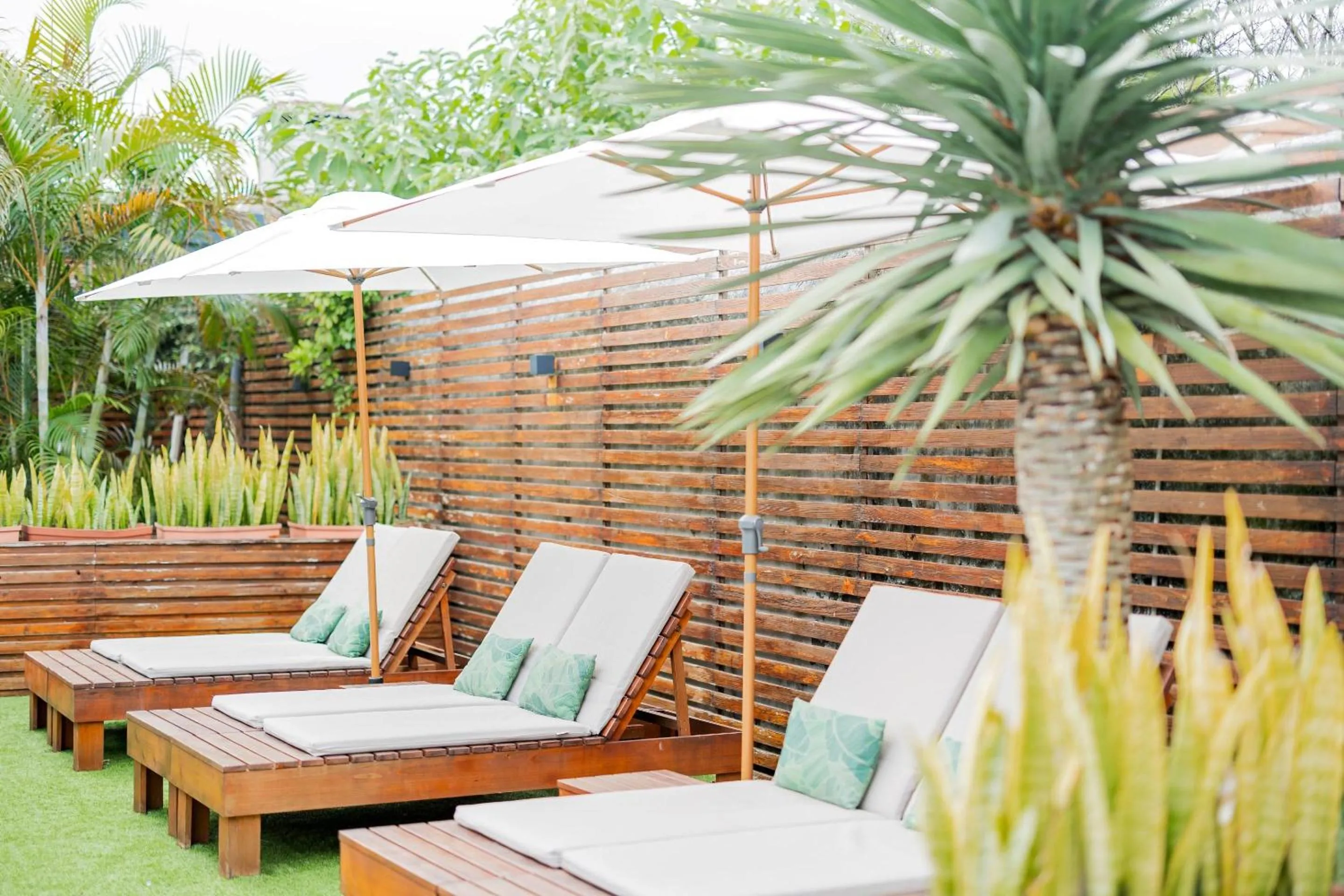 Swimming pool in Casa do Contador - Suites & Pool