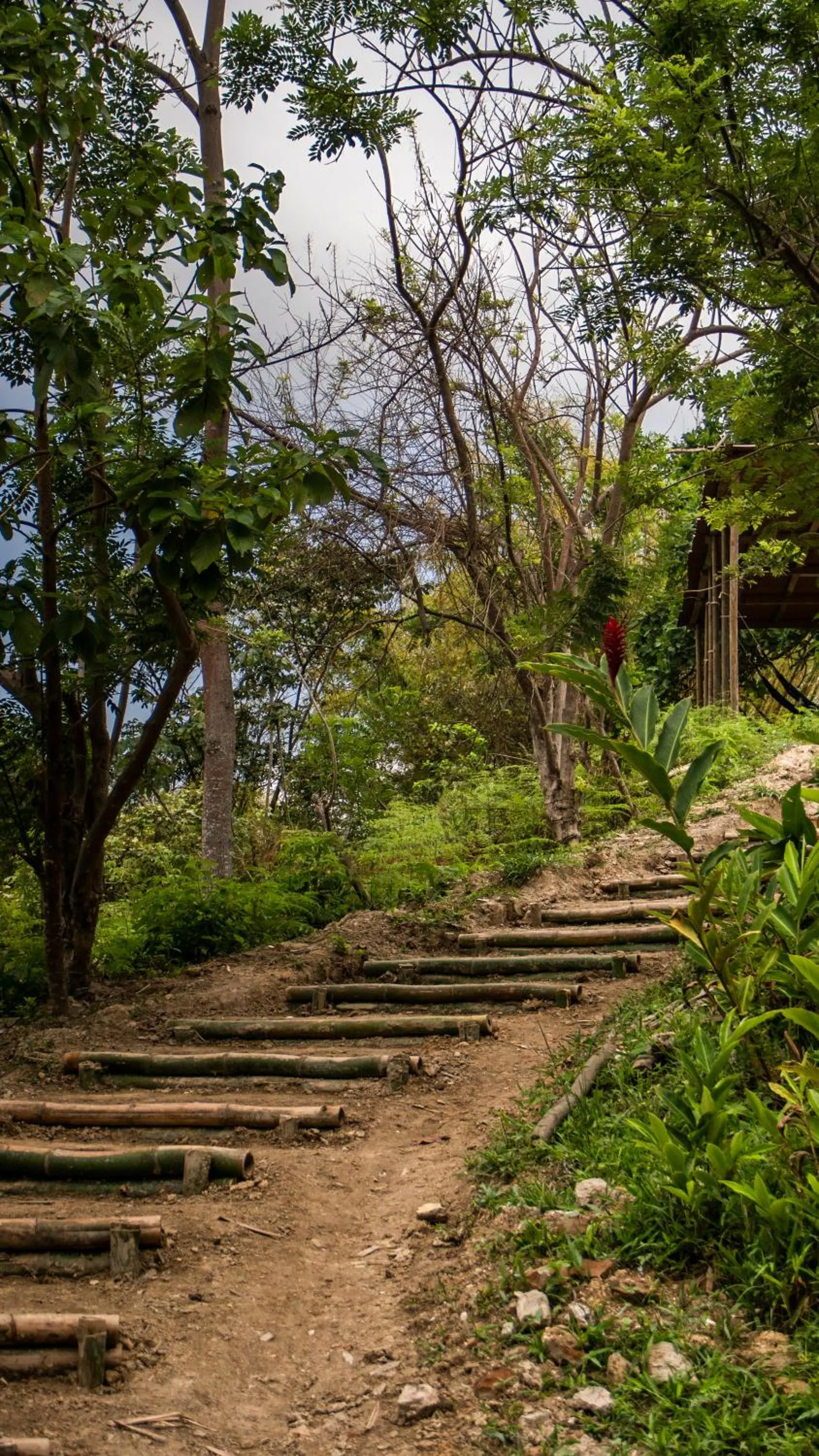 Garden in Colores de la Sierra