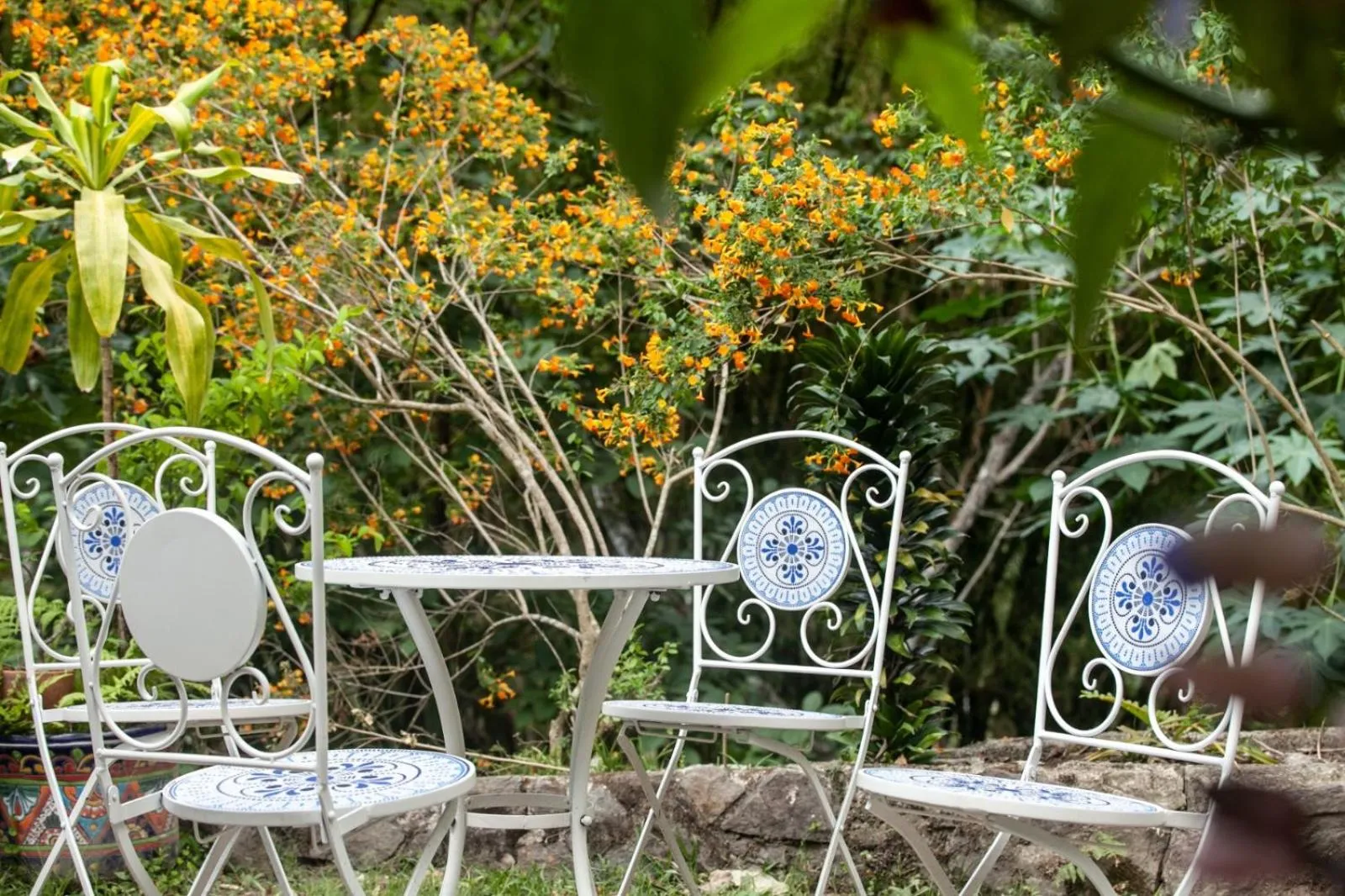 Garden in Colores de la Sierra
