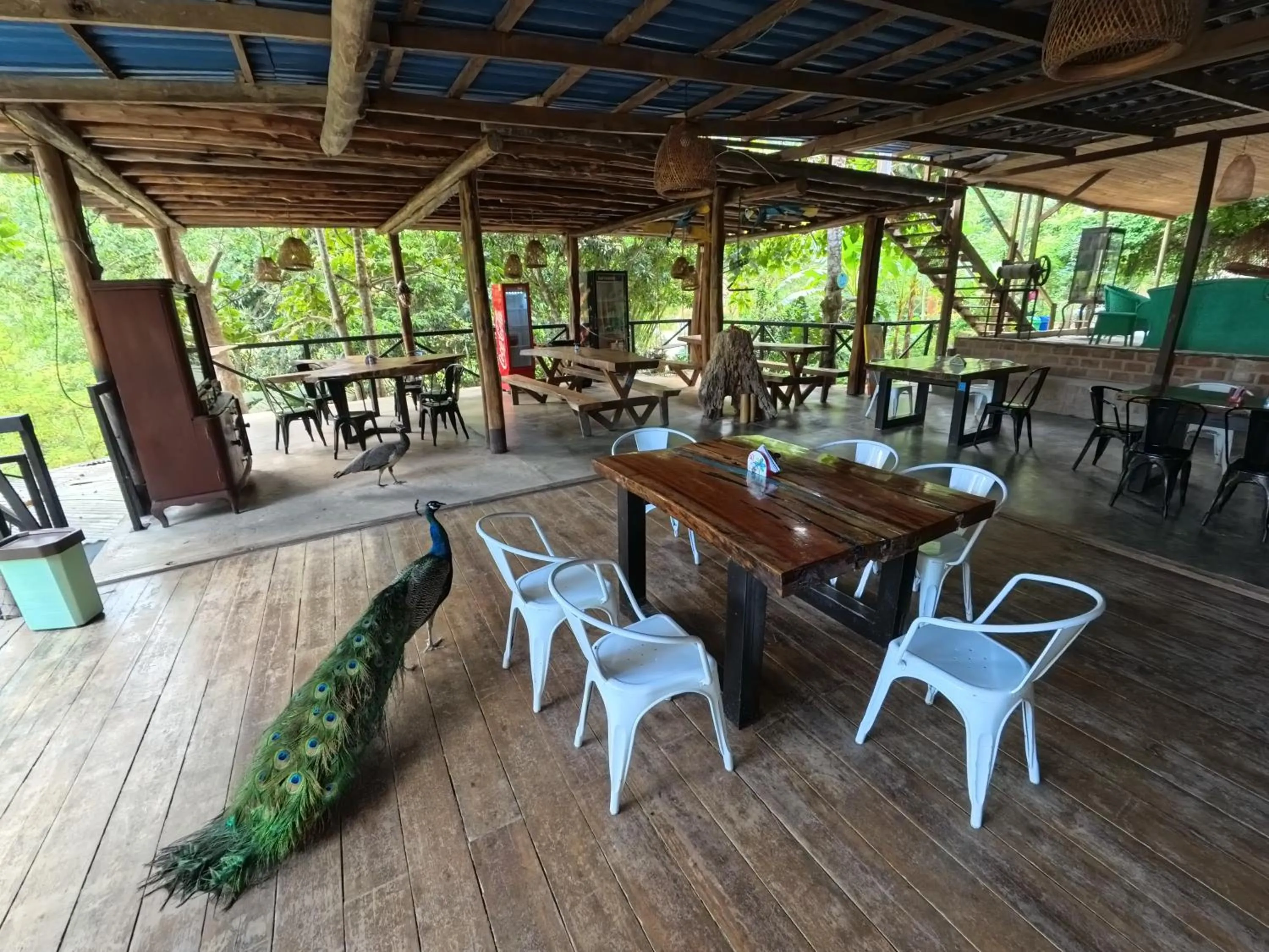 Restaurant/places to eat in Colores de la Sierra