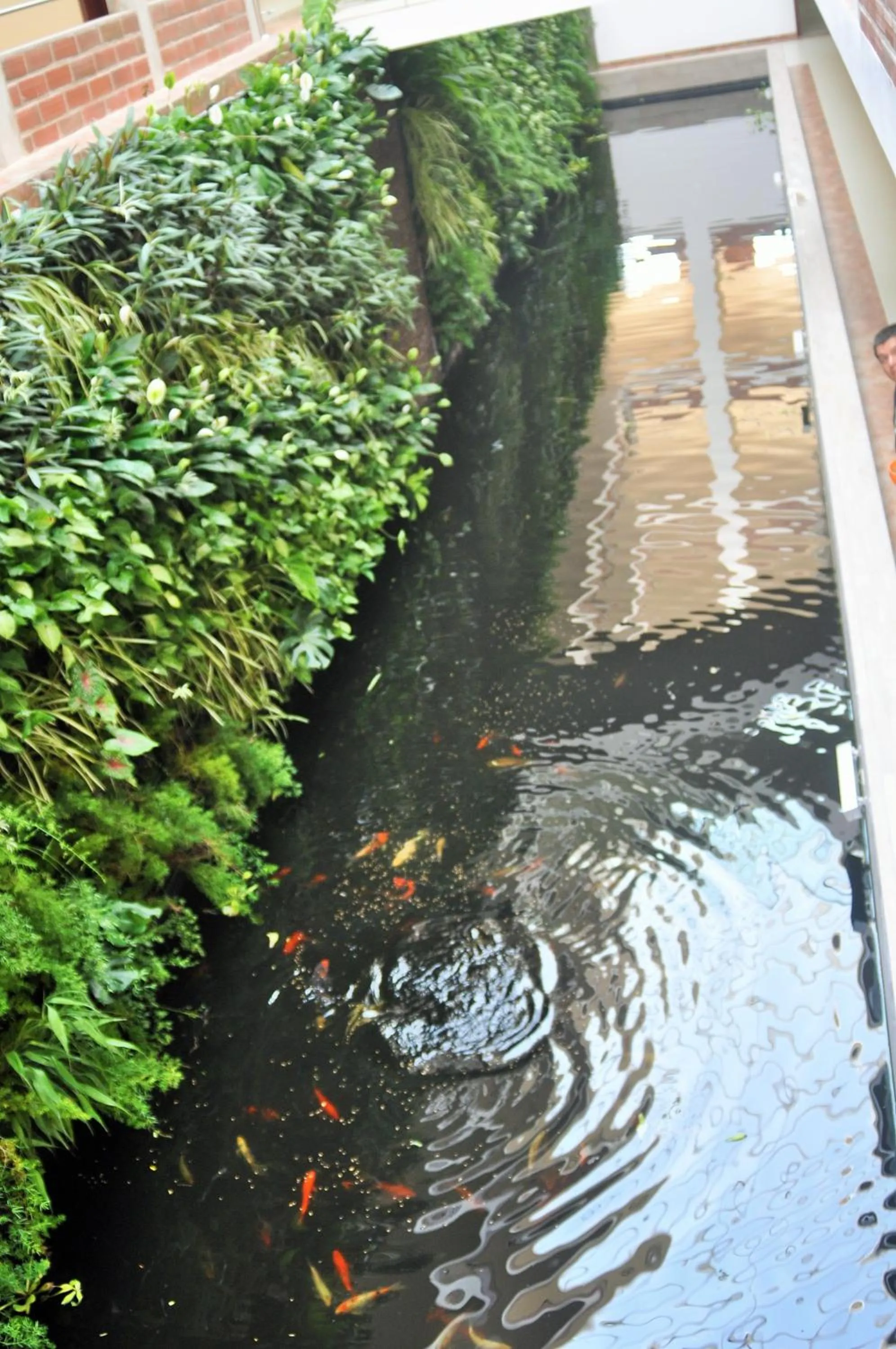 Garden in Gran Hotel de Lago - Shushufindi