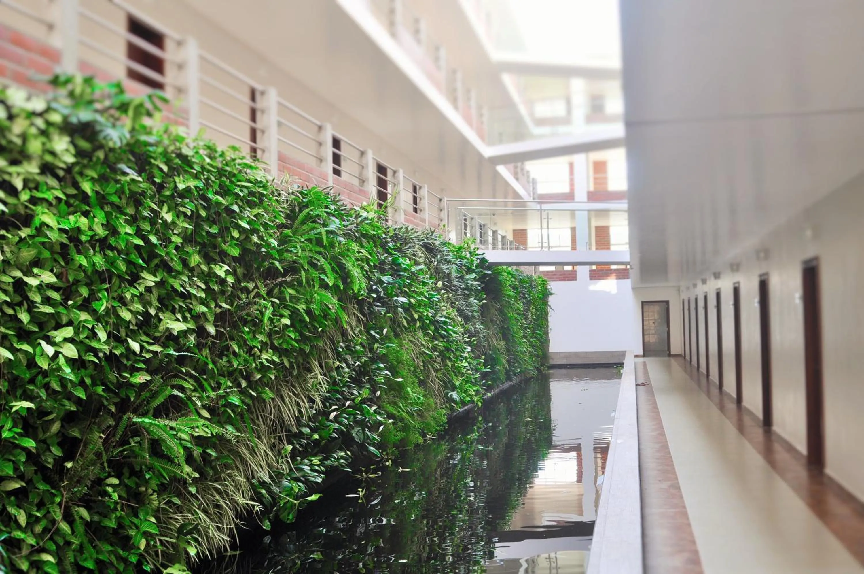 Garden in Gran Hotel de Lago - Shushufindi