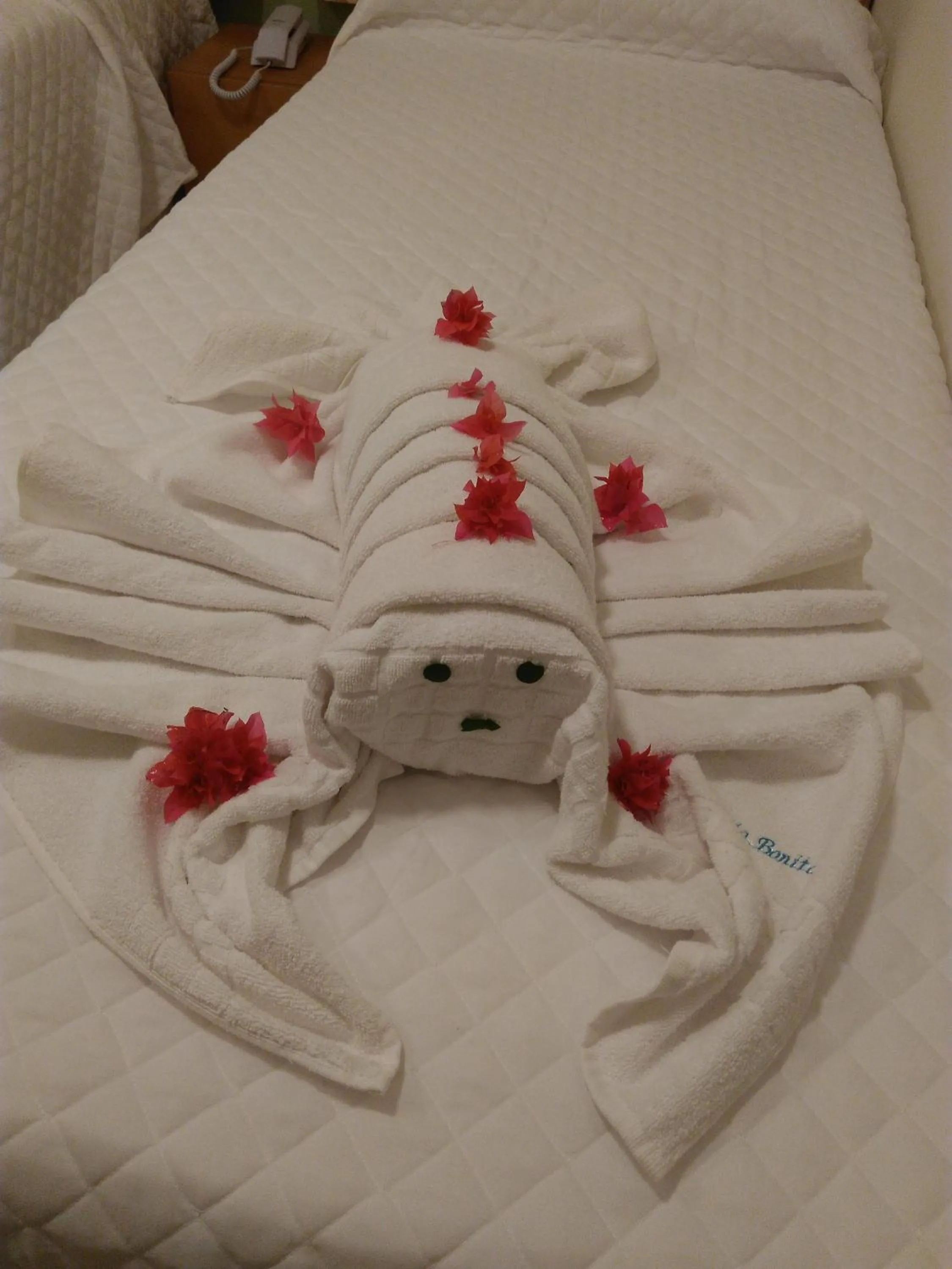 Decorative detail, Bed in Pousada Maria Bonita Porto De Galinhas