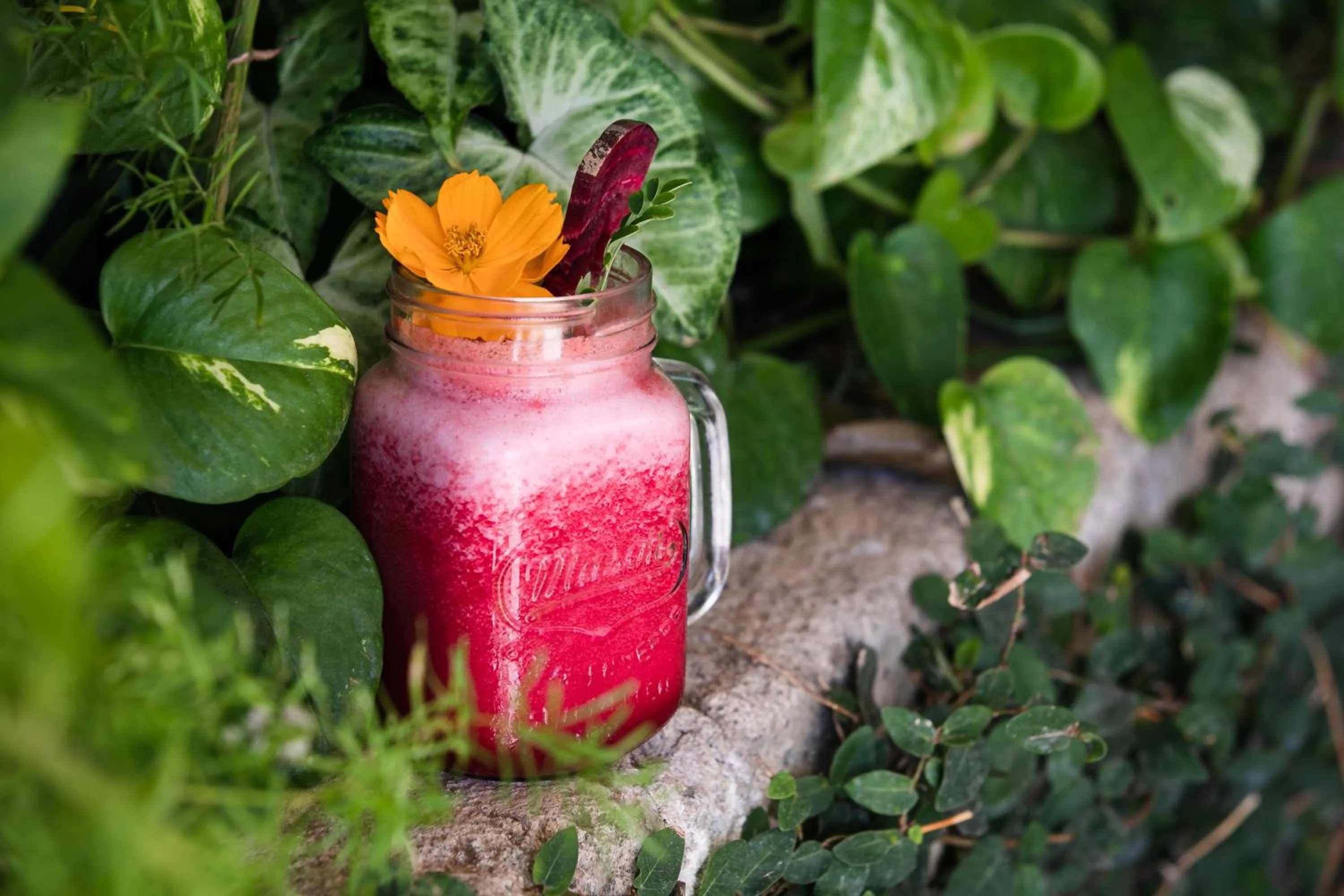 Restaurant/places to eat in TreeCasa Hotel & Resort Nicaragua