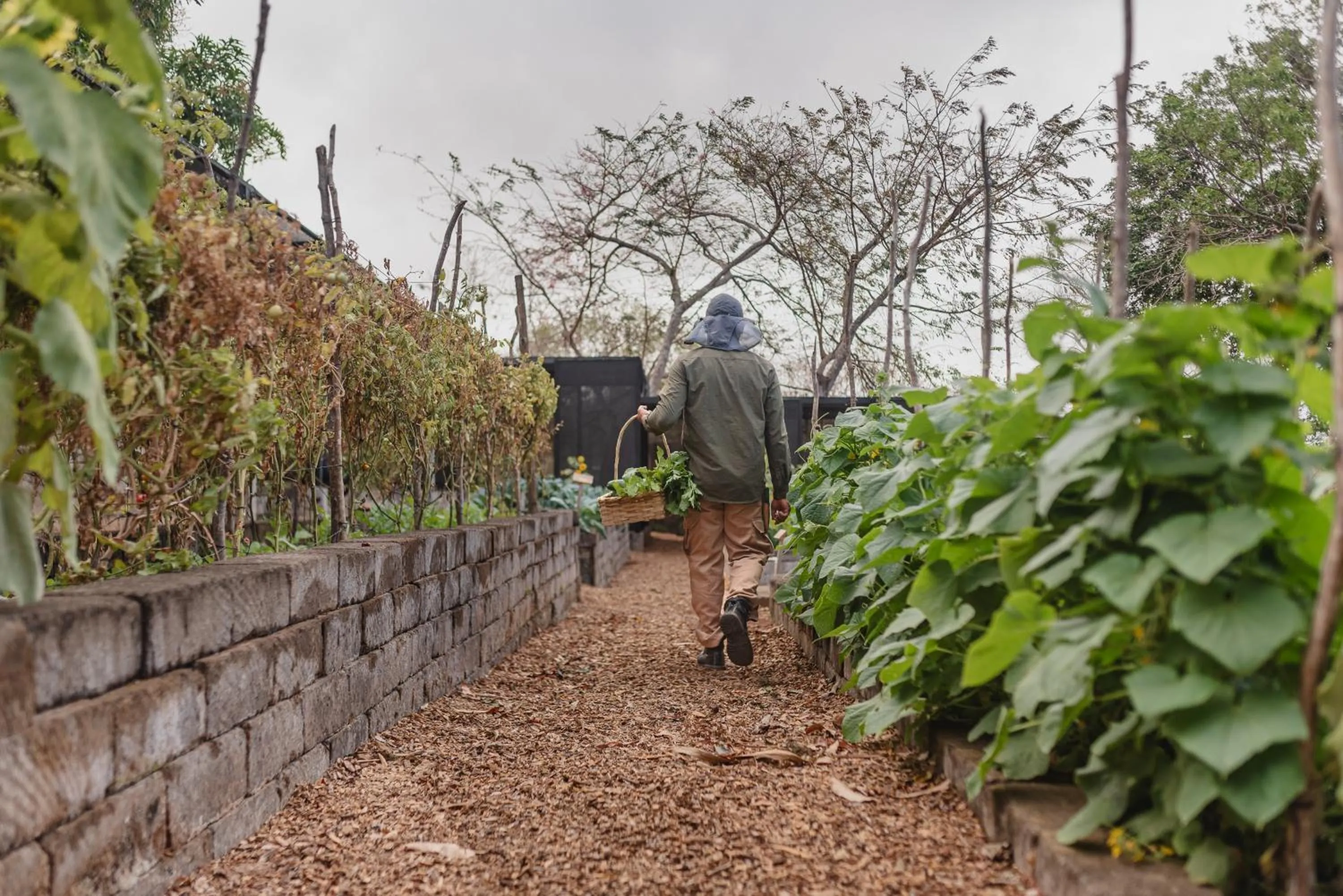 Property building in TreeCasa Hotel & Resort Nicaragua