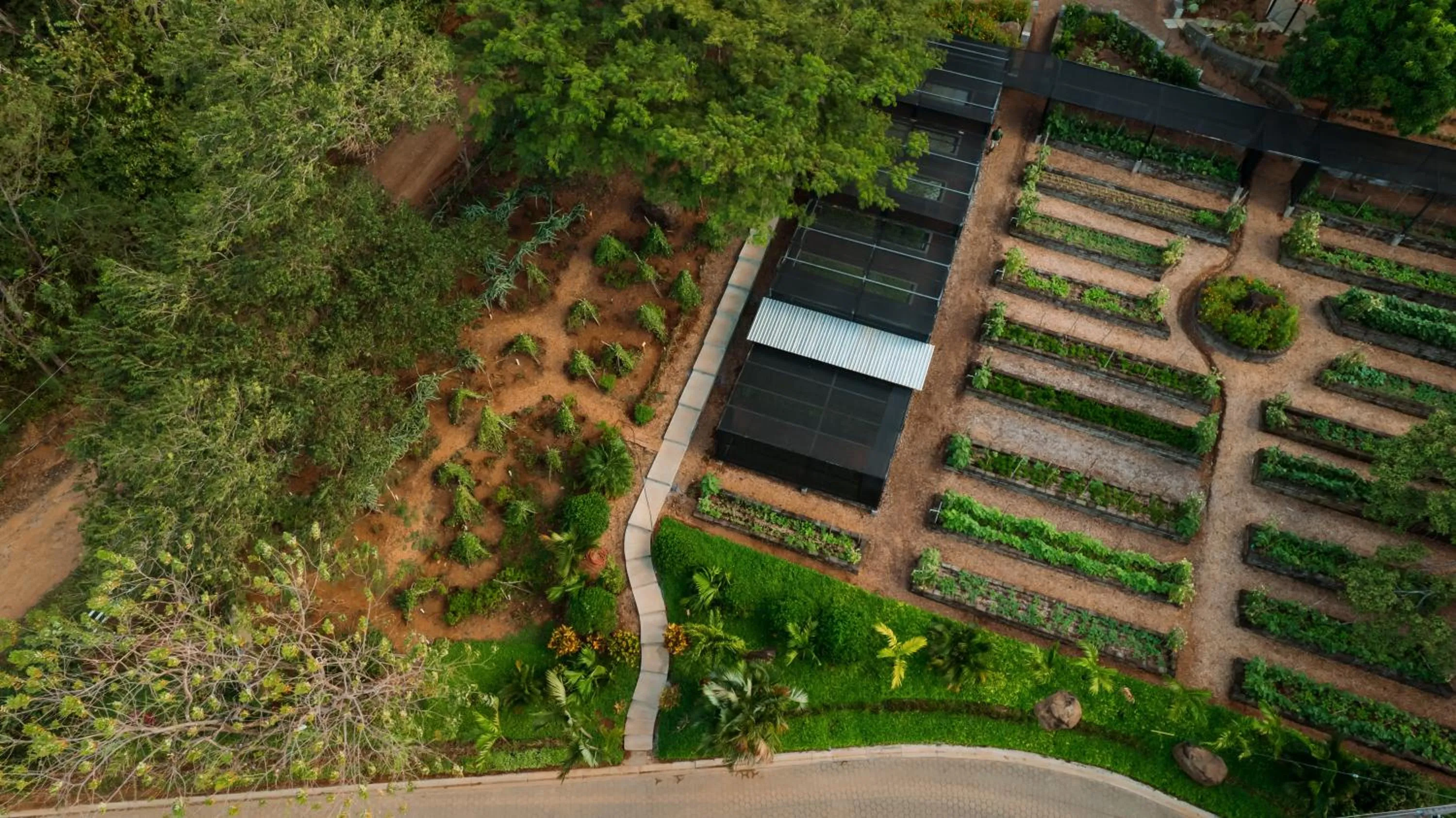 Property building in TreeCasa Hotel & Resort Nicaragua