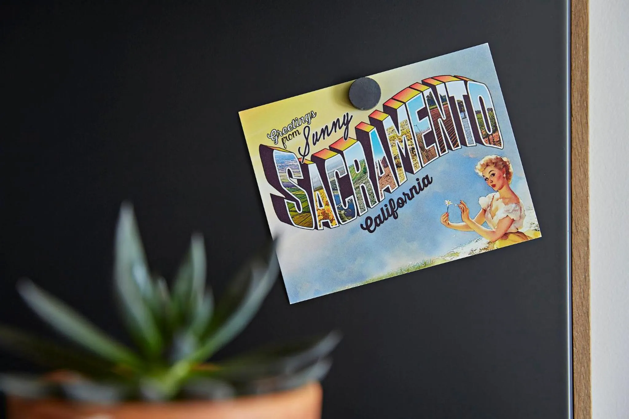 Photo of the whole room in Kimpton Sawyer Hotel by IHG