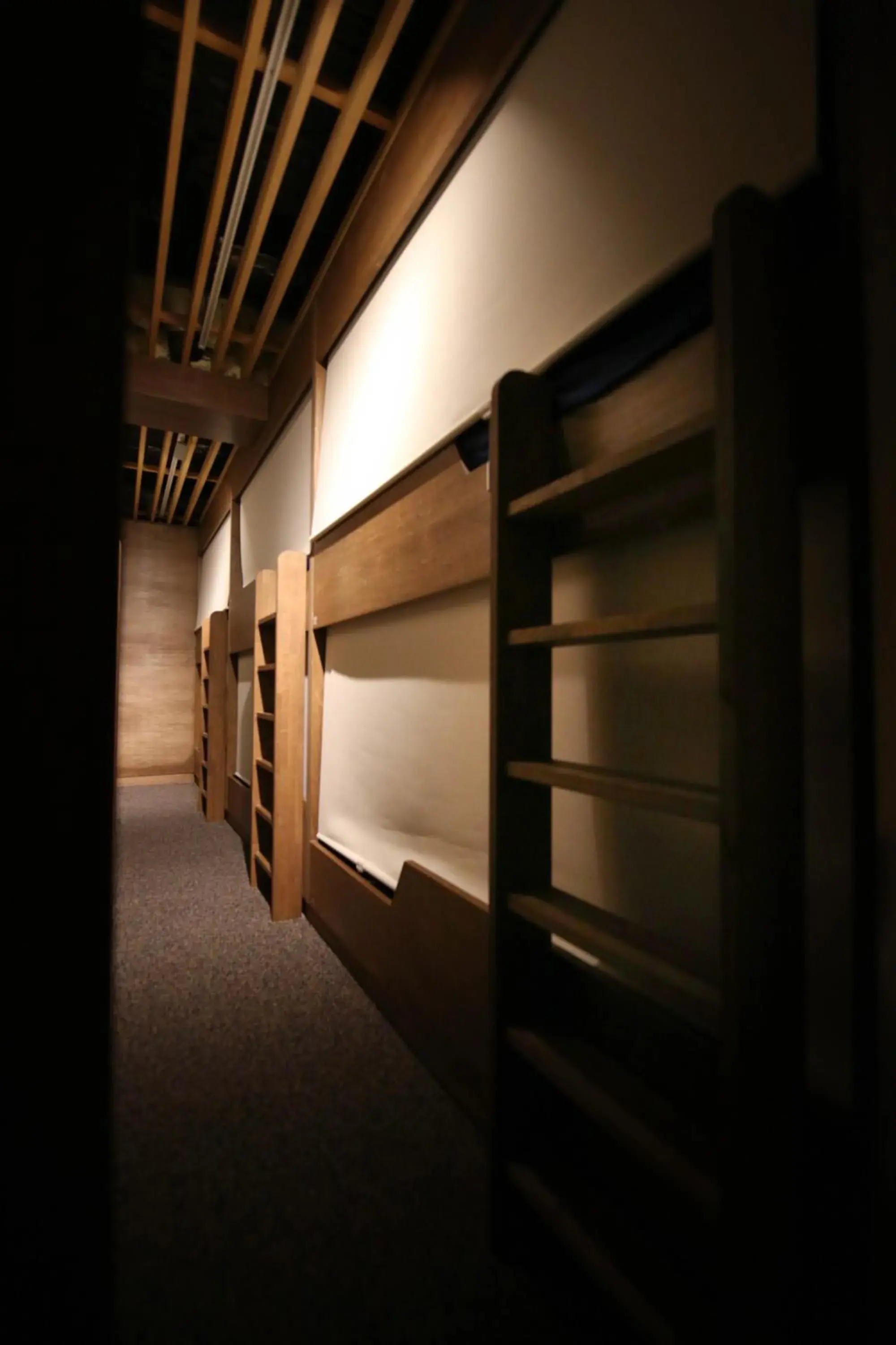 Bunk Bed in 12-Bed Mixed Dormitory Room in Hibari House Guest house Bunk Bed in 12-Bed Mixed Dormitory Room in Hibari House Guest house