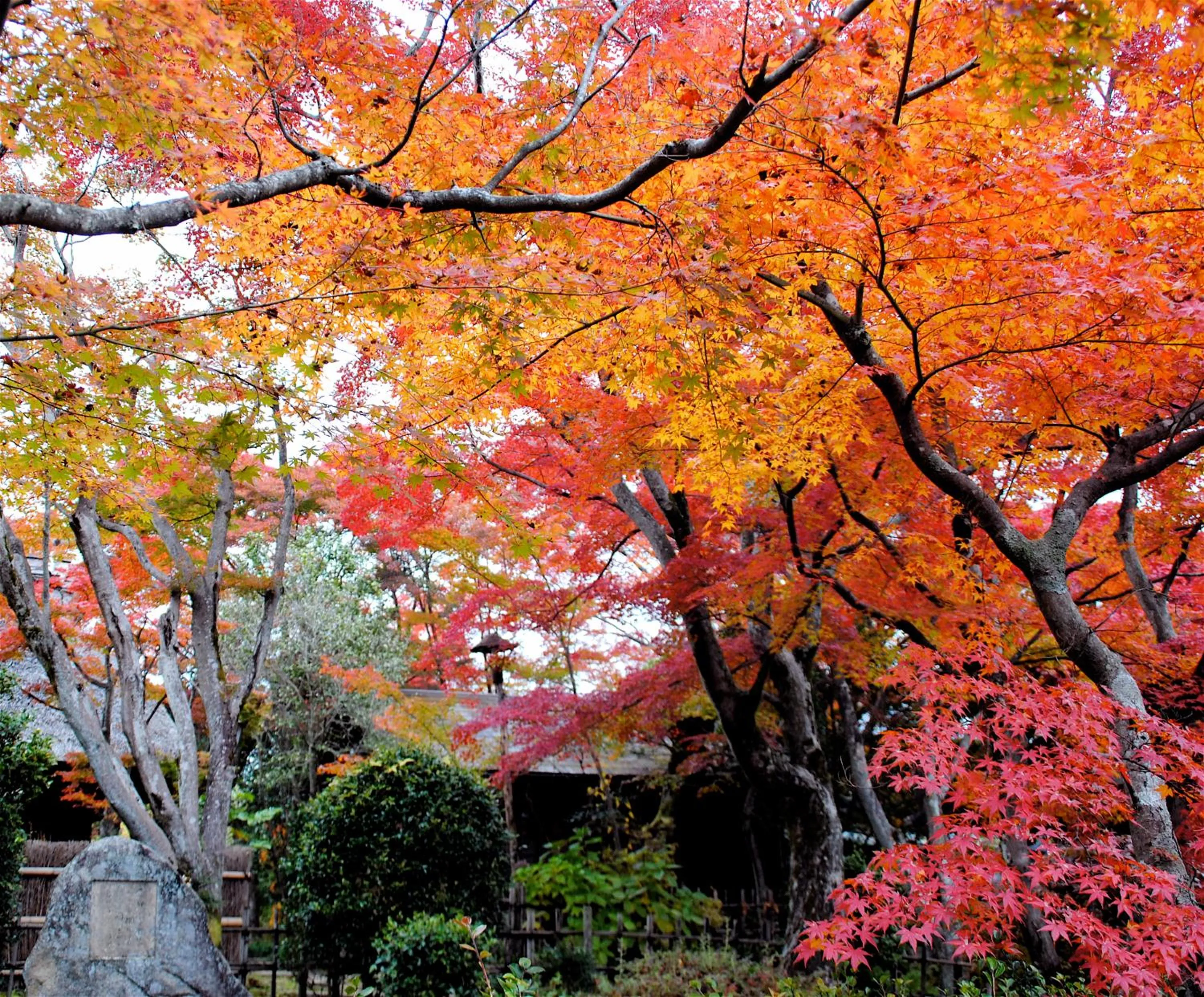 Garden in Nagataki
