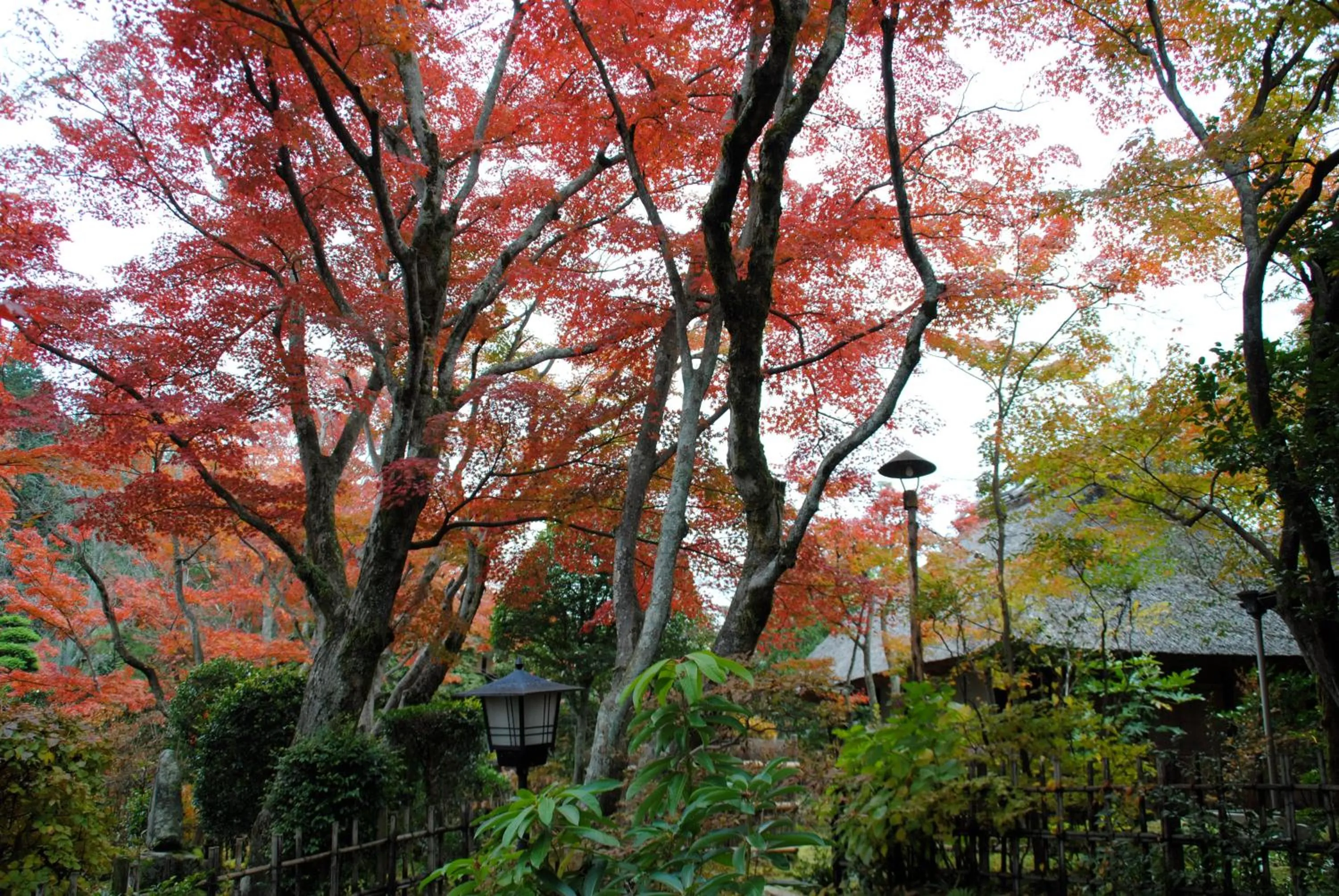 Garden in Nagataki