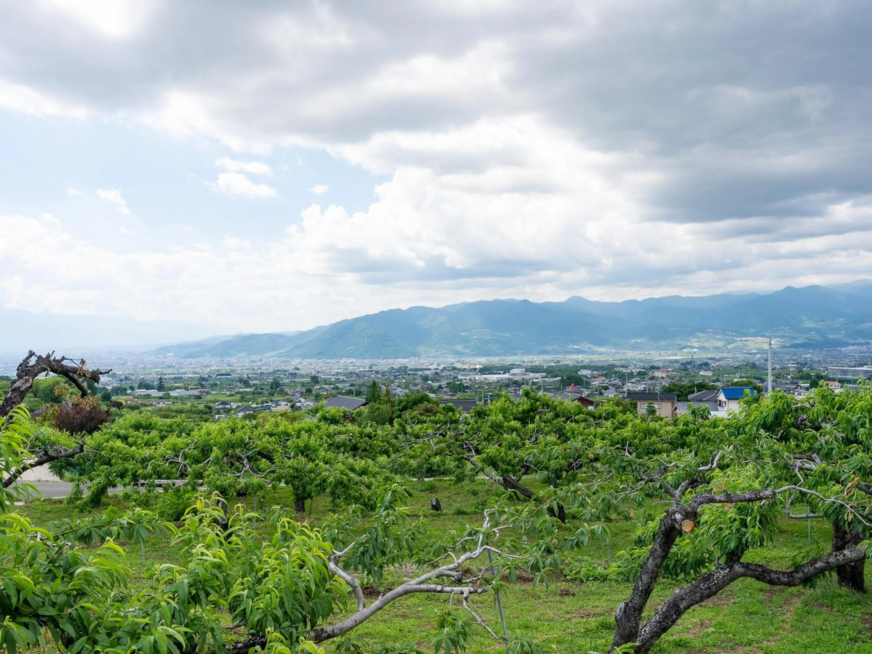Natural landscape in Tabist Hotel Nizi Fuefuki Misaka
