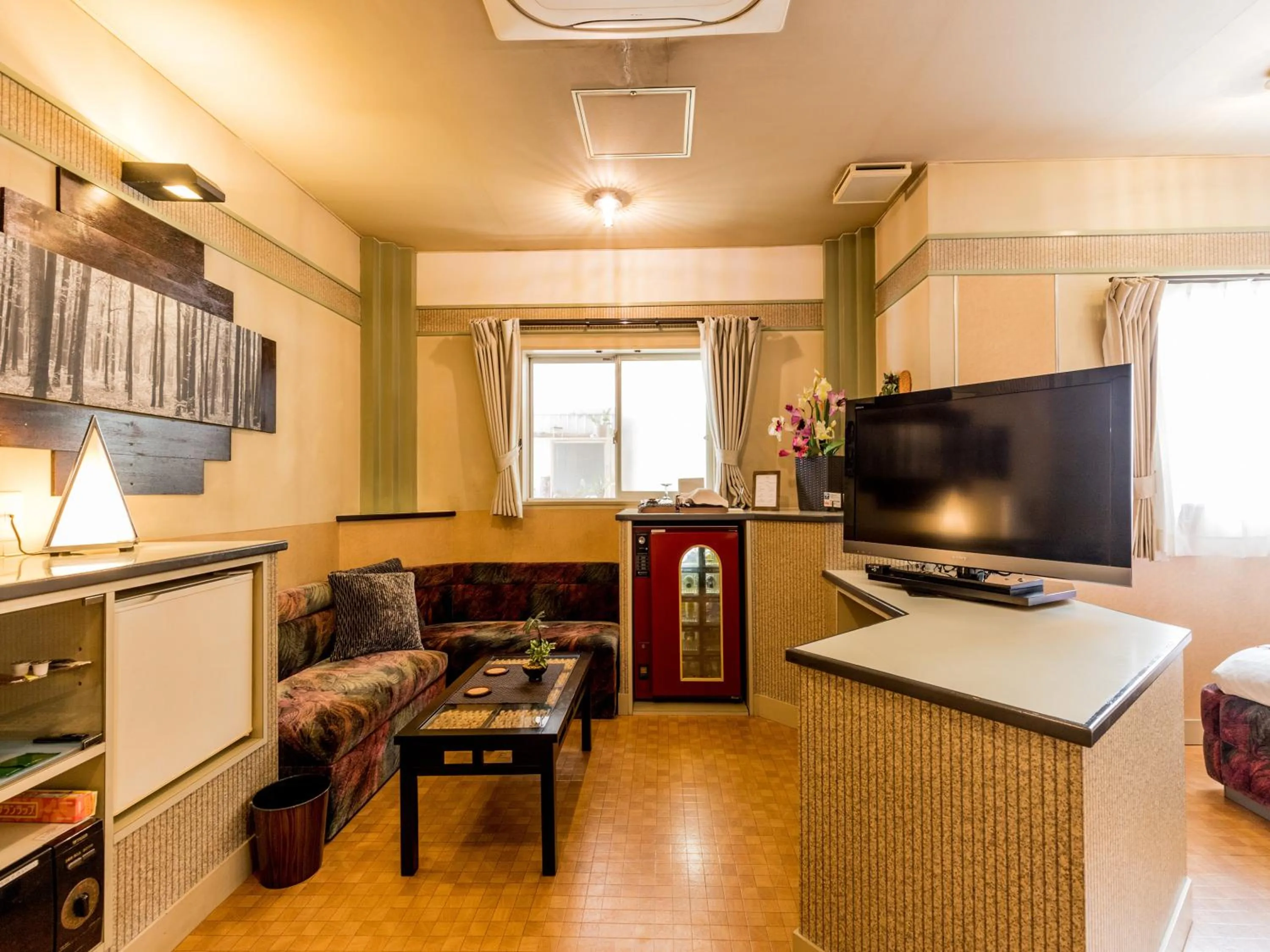 TV and multimedia in Tabist Hotel Nizi Fuefuki Misaka