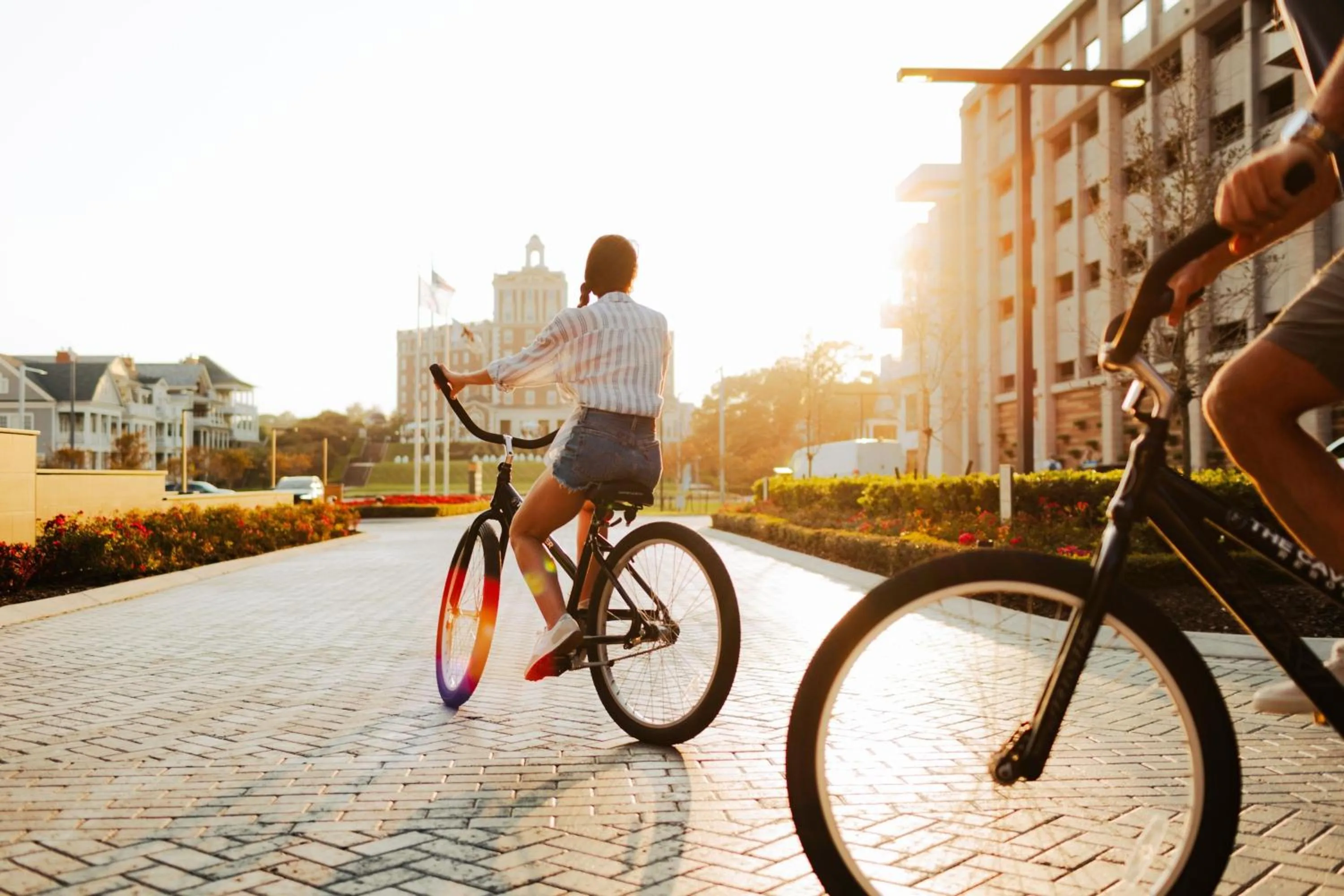 Beach in Marriott Virginia Beach Oceanfront Resort