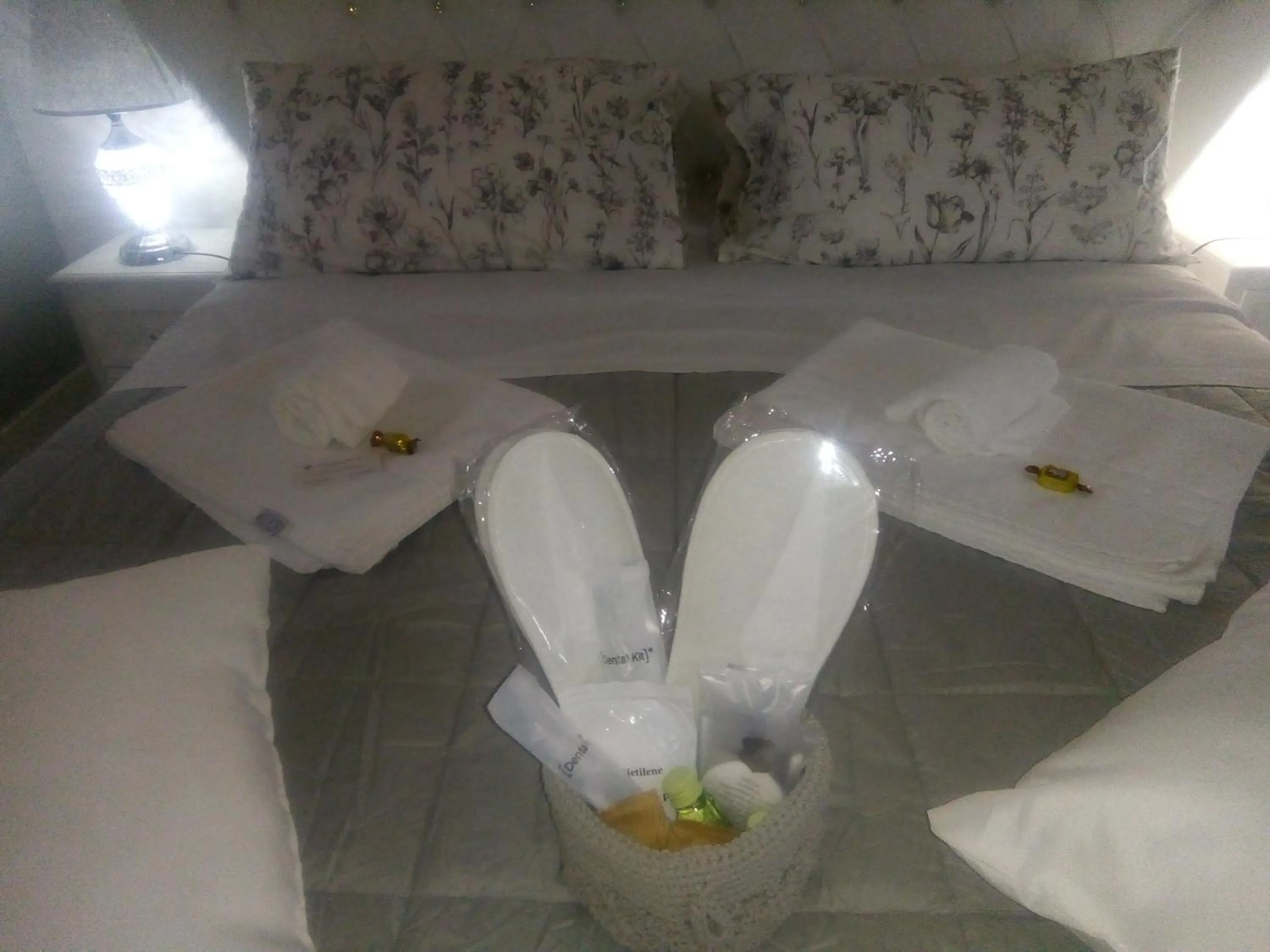 Bedroom in Barberini Dream