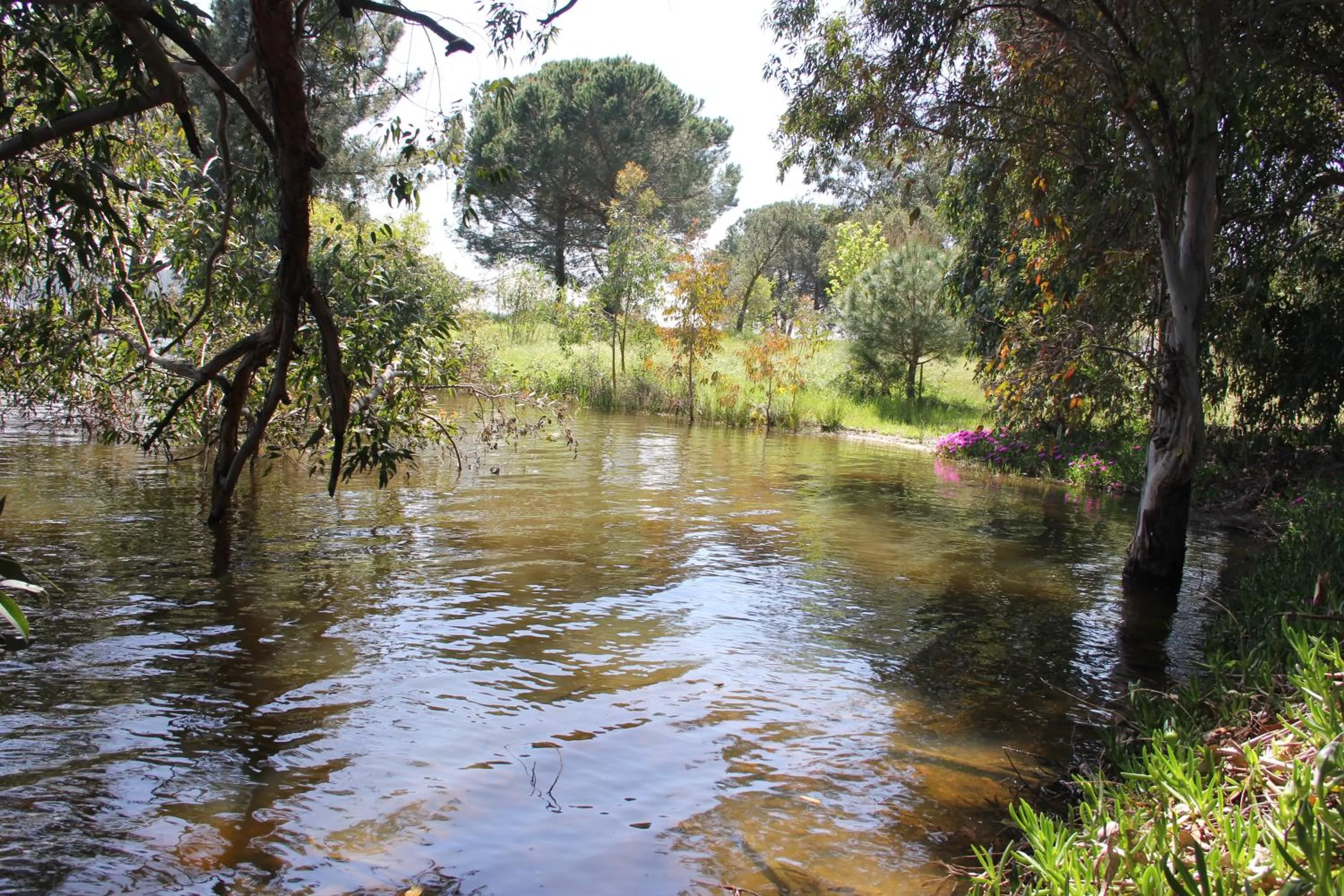 Other in Hotel Ponte Sor