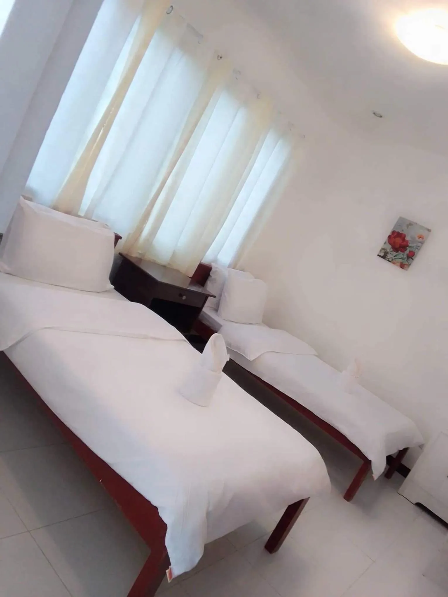 Property building, Bed in Luna Oslob Travellers Inn