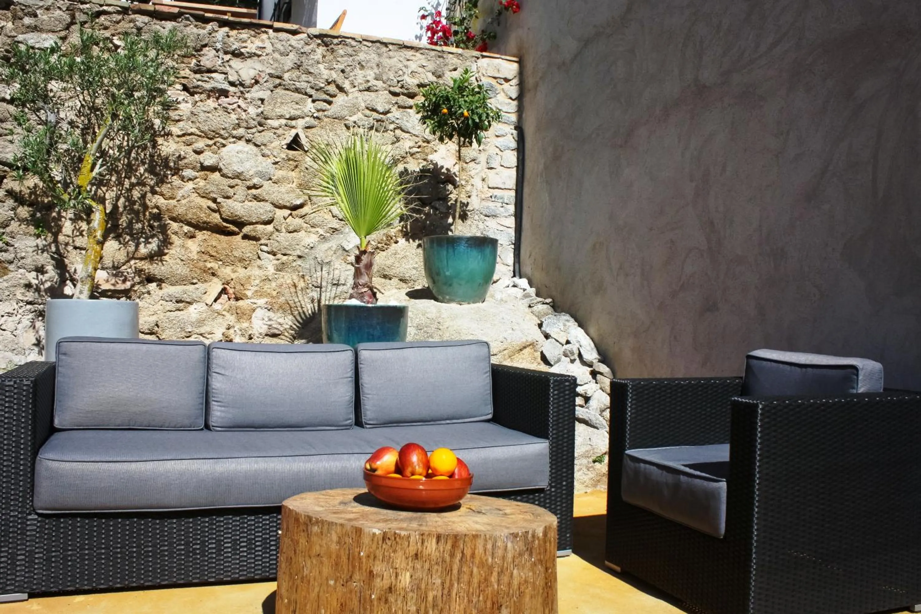 Garden in Hotel Casa Calella