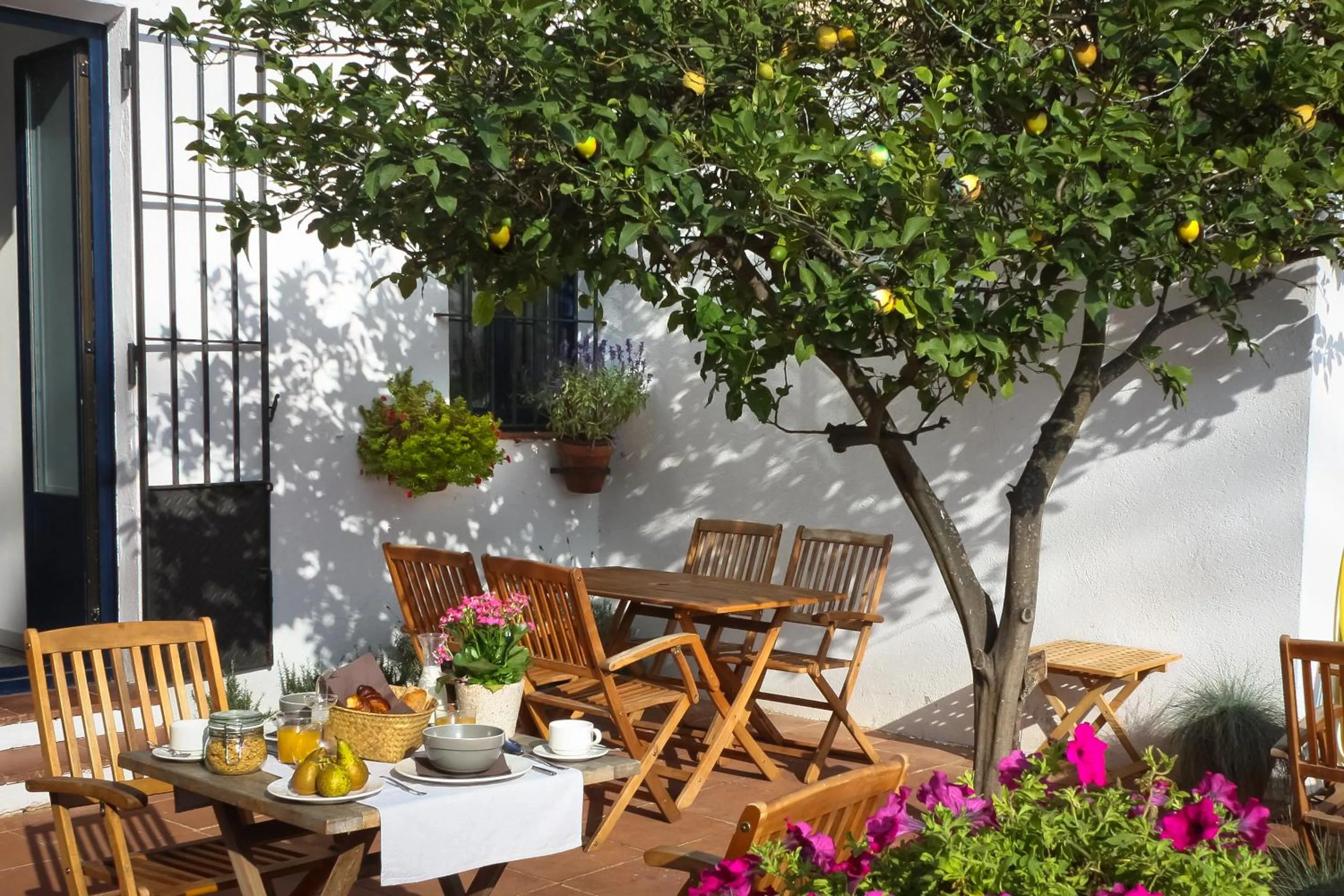 Patio in Hotel Casa Calella