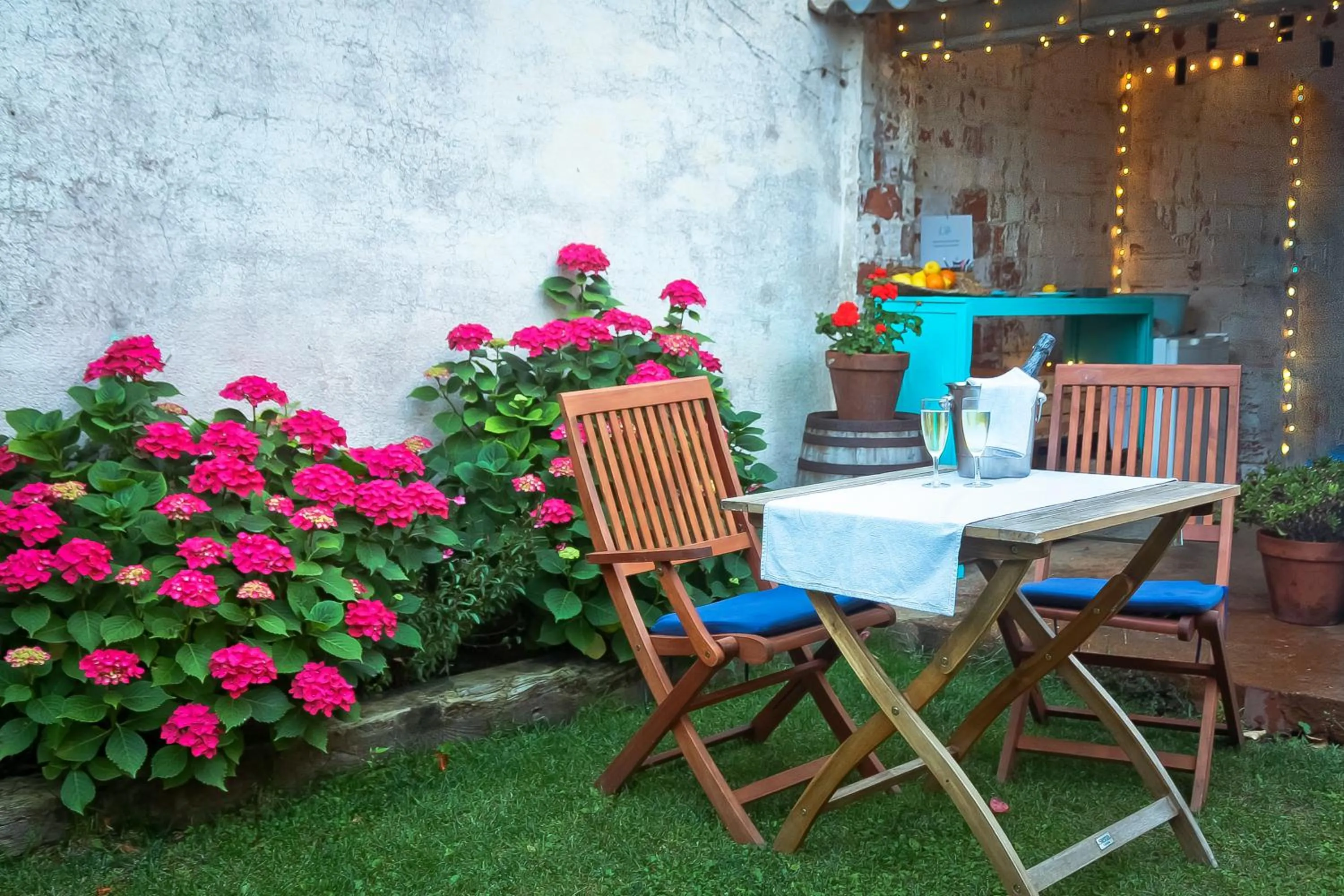 Garden in Hotel Casa Calella