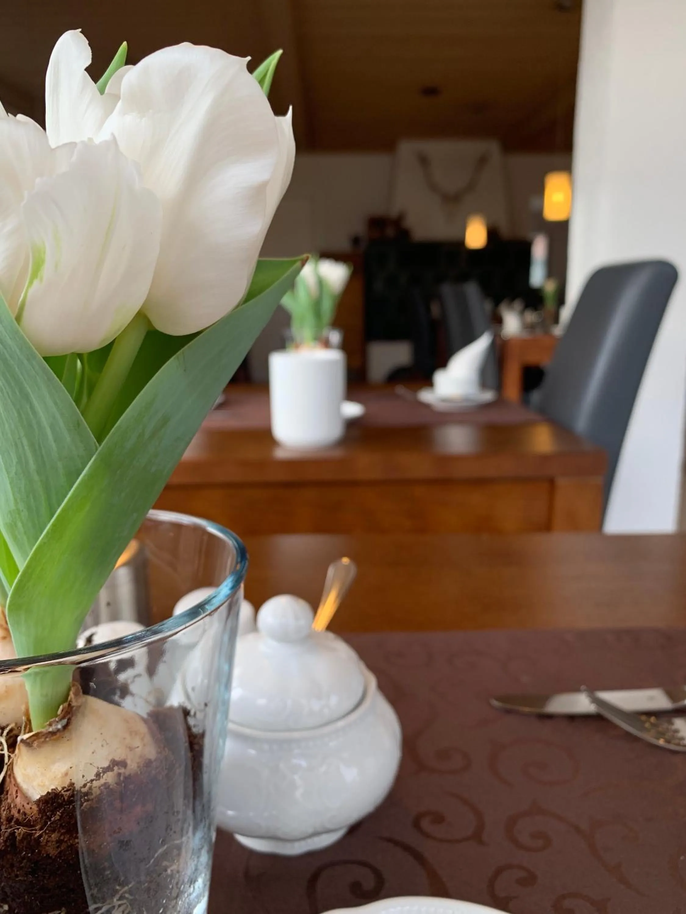 Restaurant/places to eat in Hotel Palko