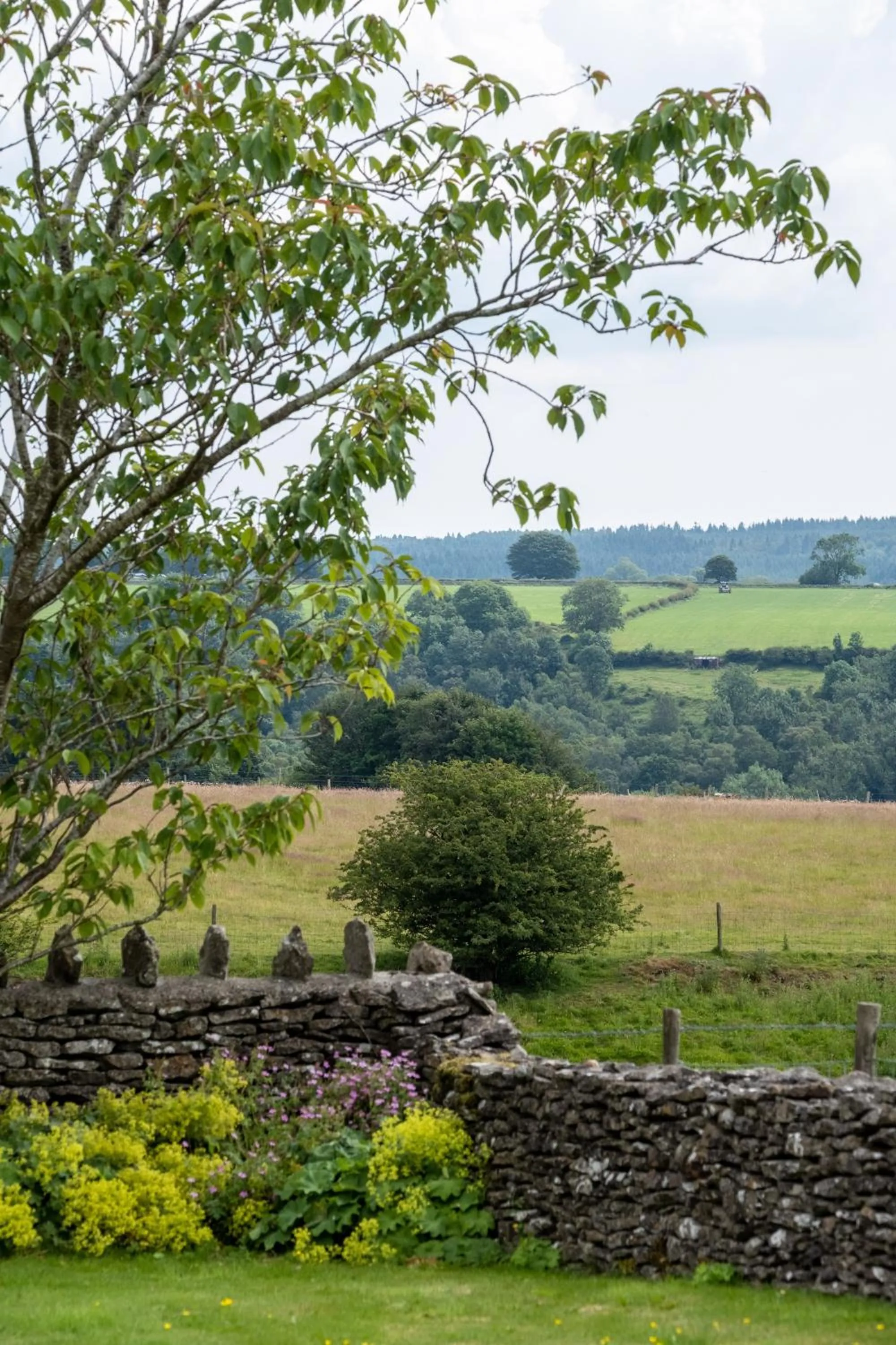 Natural landscape in The Horseshoe Country Inn