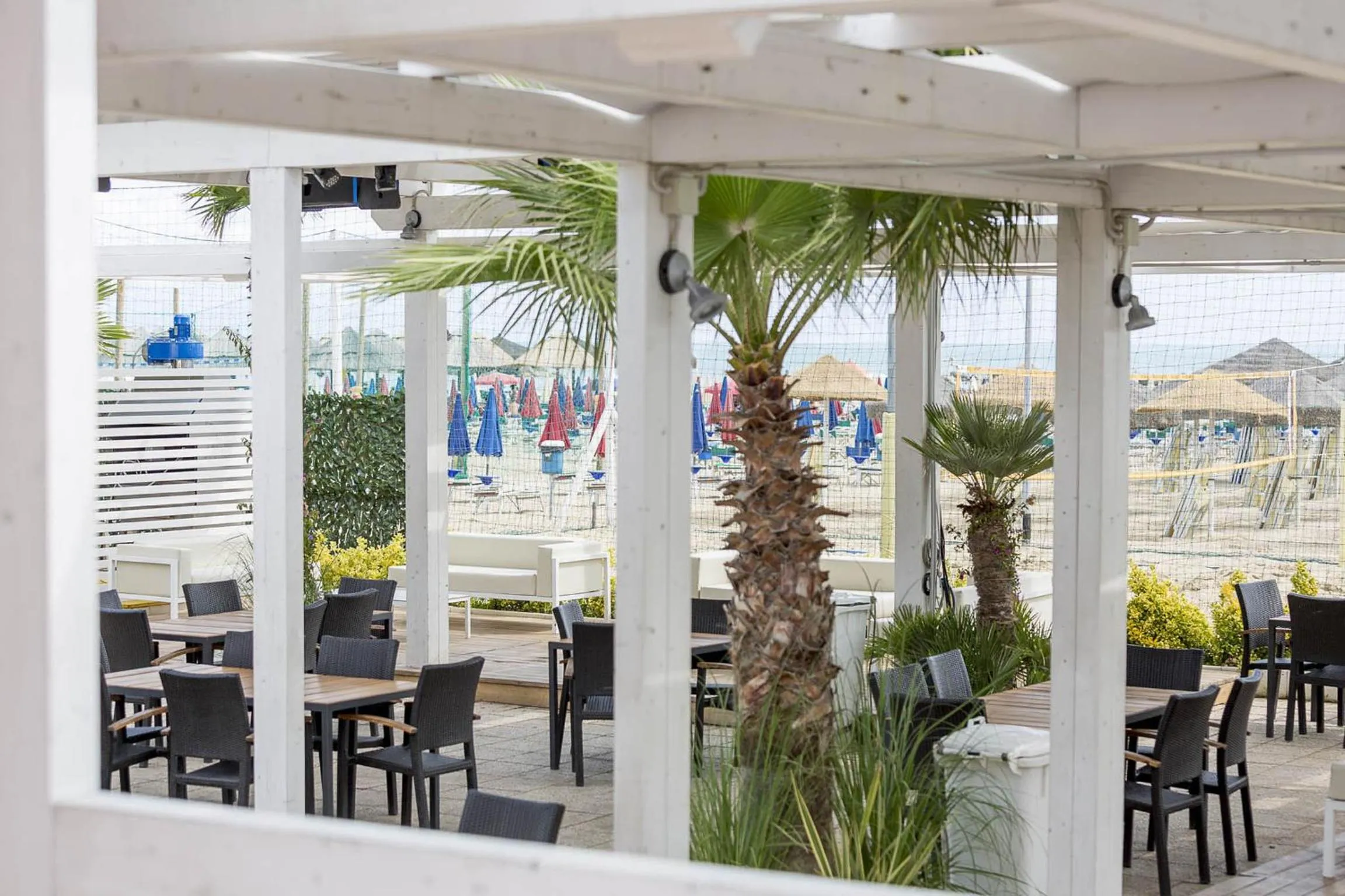 Balcony/Terrace in Hotel Maja