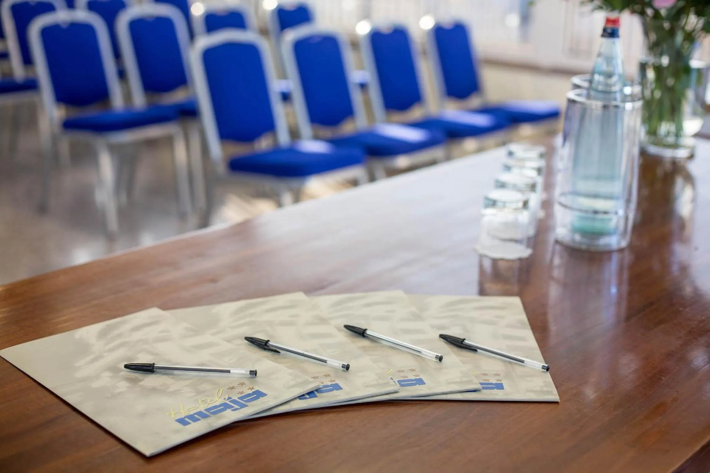 Business facilities in Hotel Maja