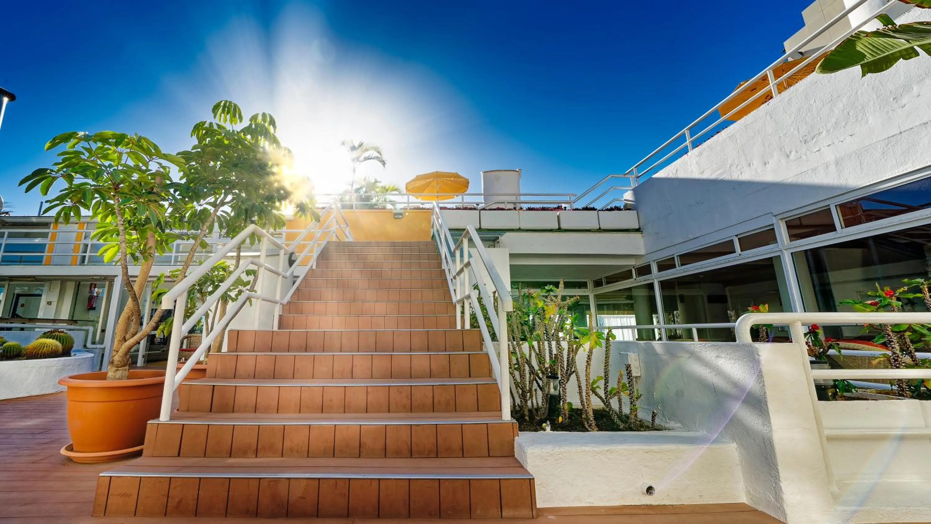 Swimming pool in Bull Astoria