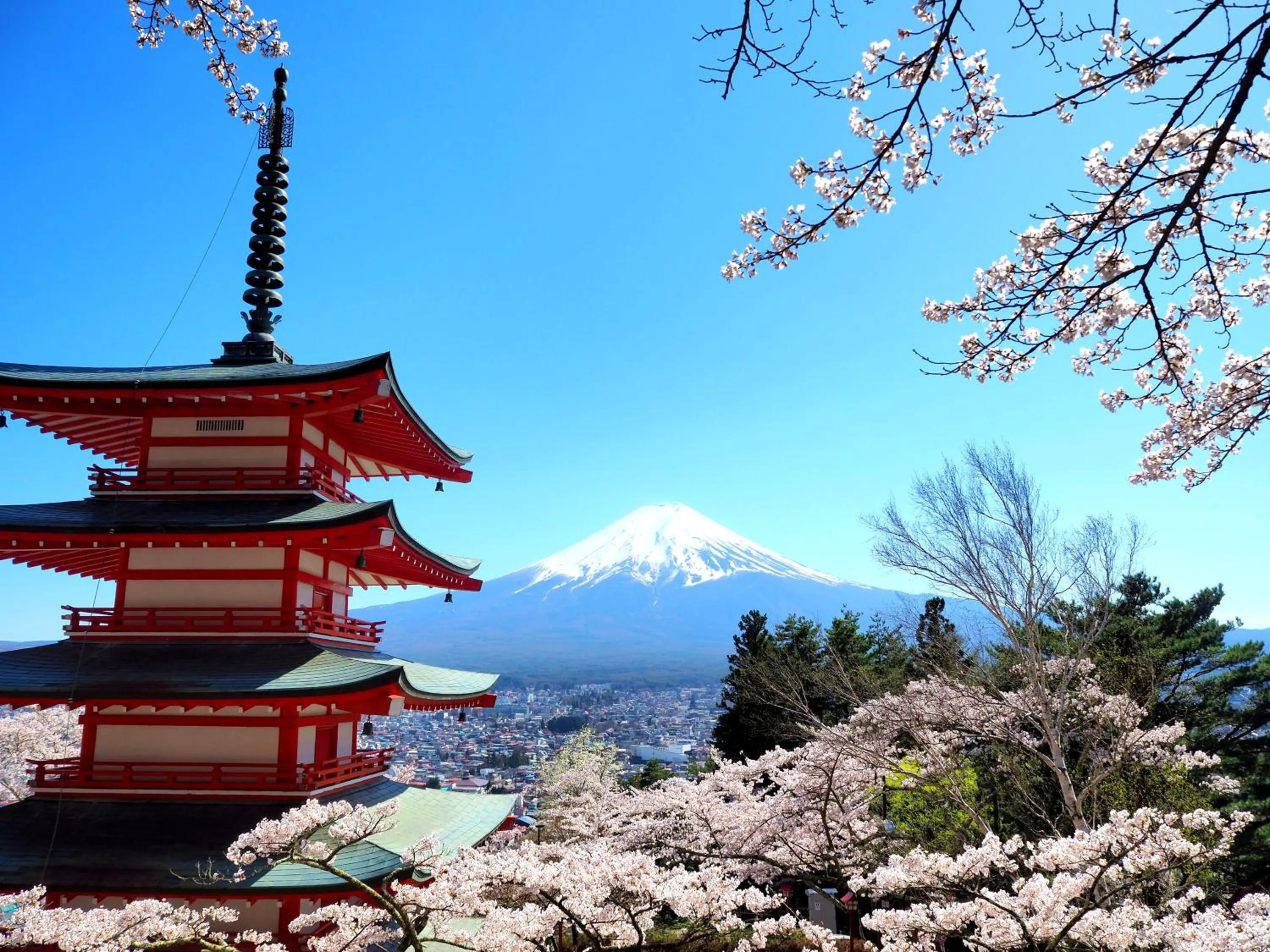 Off site in Hostel SAMURISE KURA