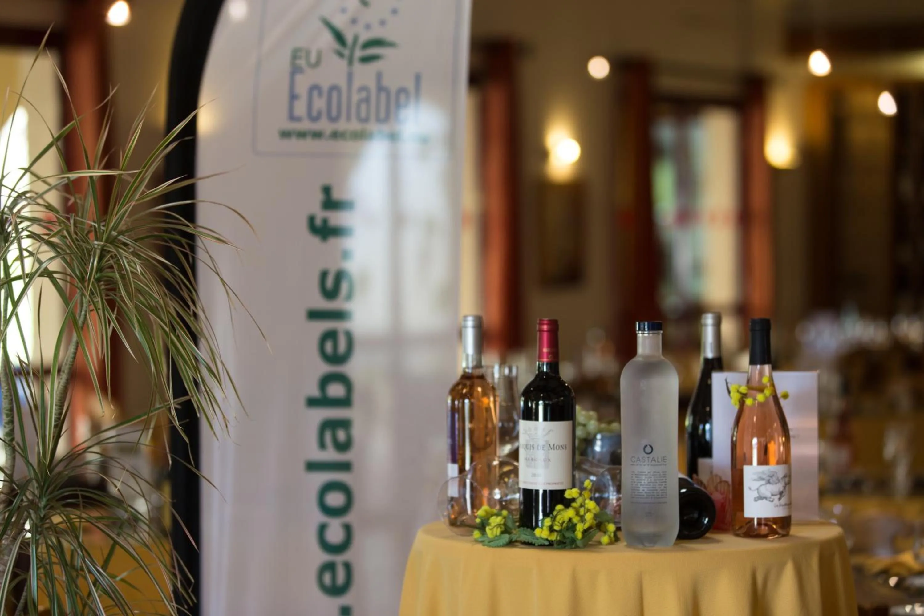 Drinks in Logis Hôtel Restaurant Solenca