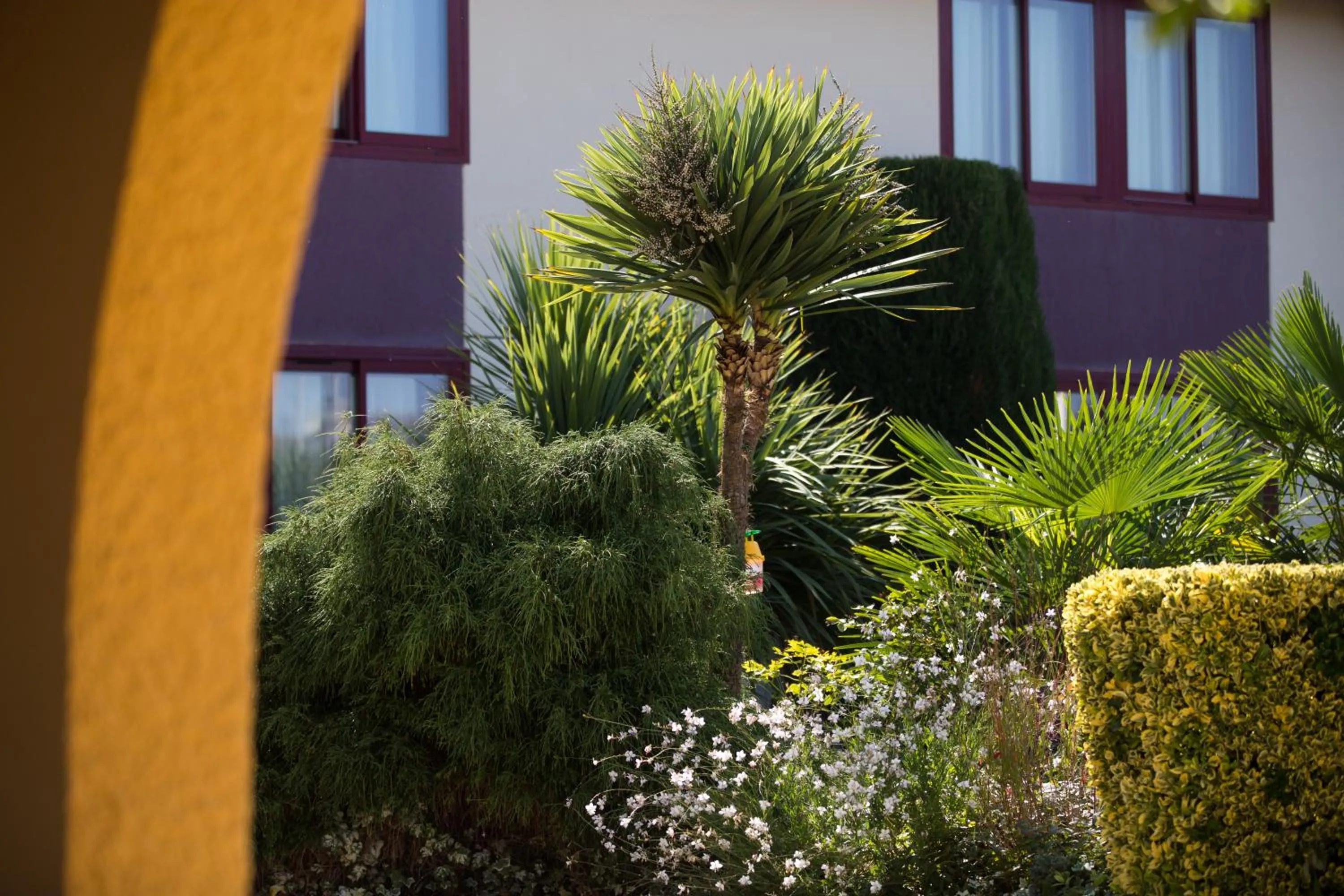 Property building in Logis Hôtel Restaurant Solenca