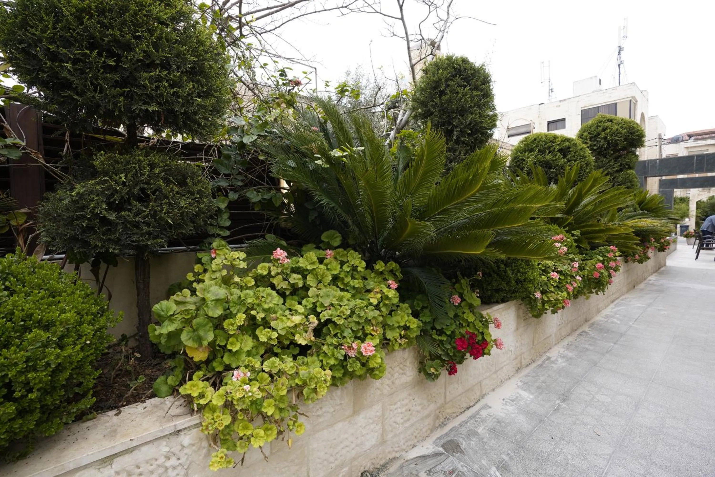 Garden in Naylover Hotel Suites