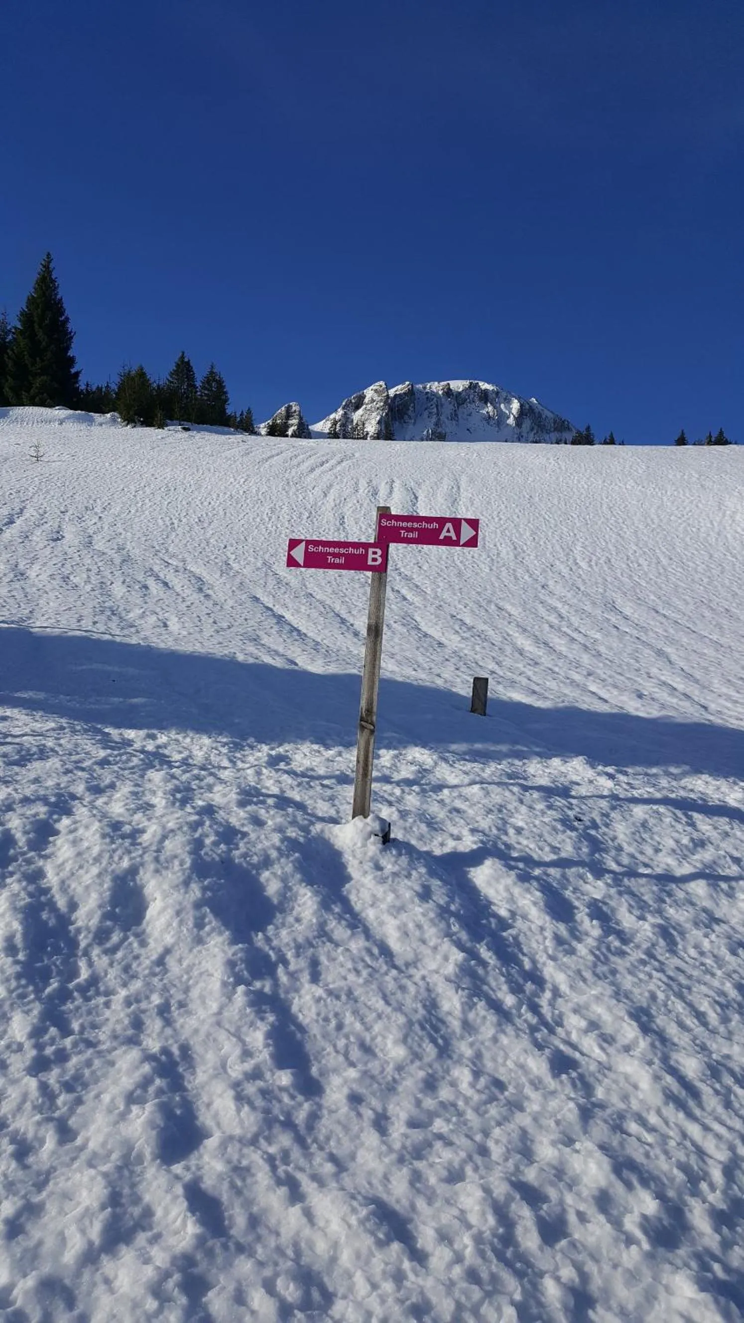 Sports in Berghotel Schonhalden