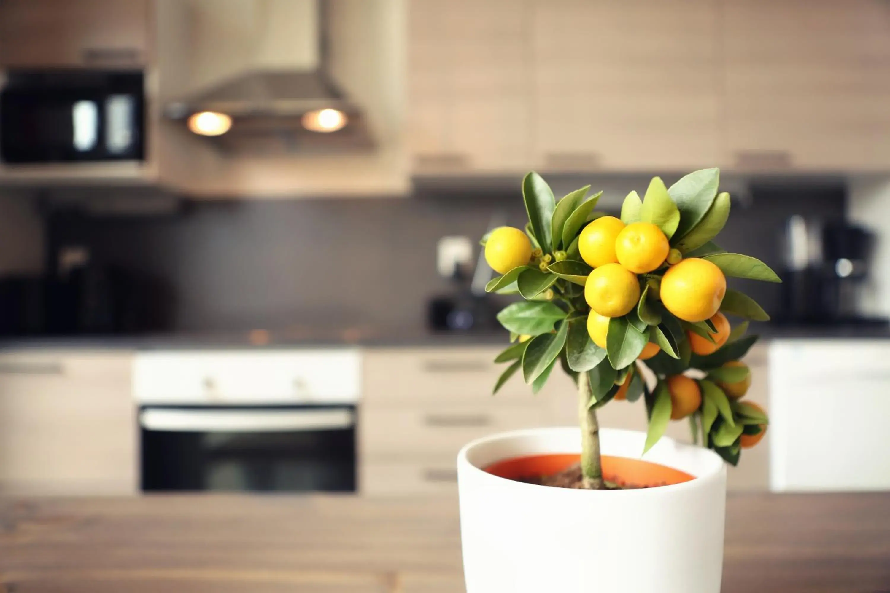 Four-Bedroom Villa in Nallikari Seaside Villas Four-Bedroom Villa in Nallikari Seaside Villas