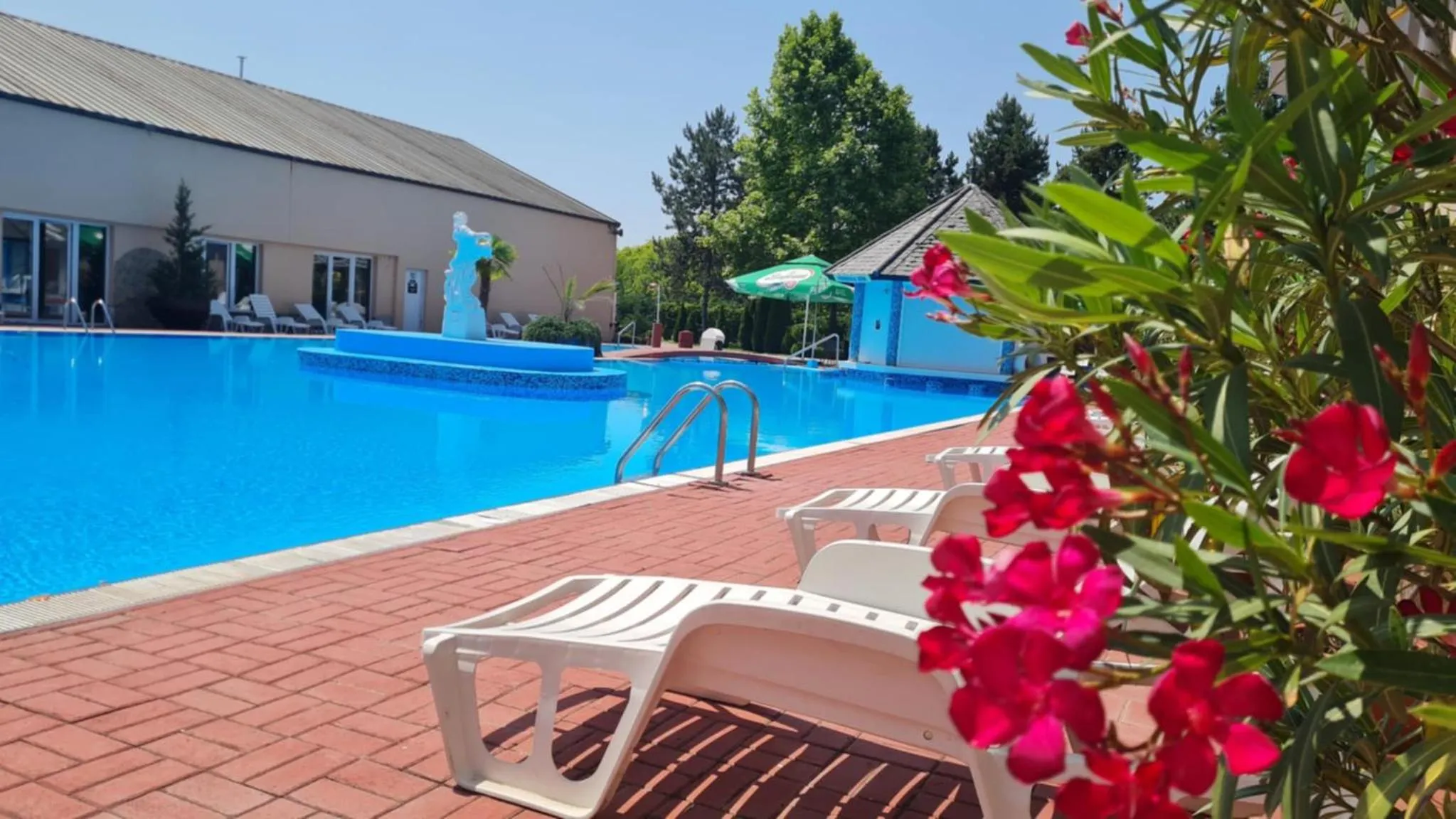 Swimming pool in Oázis Wellness Panzio