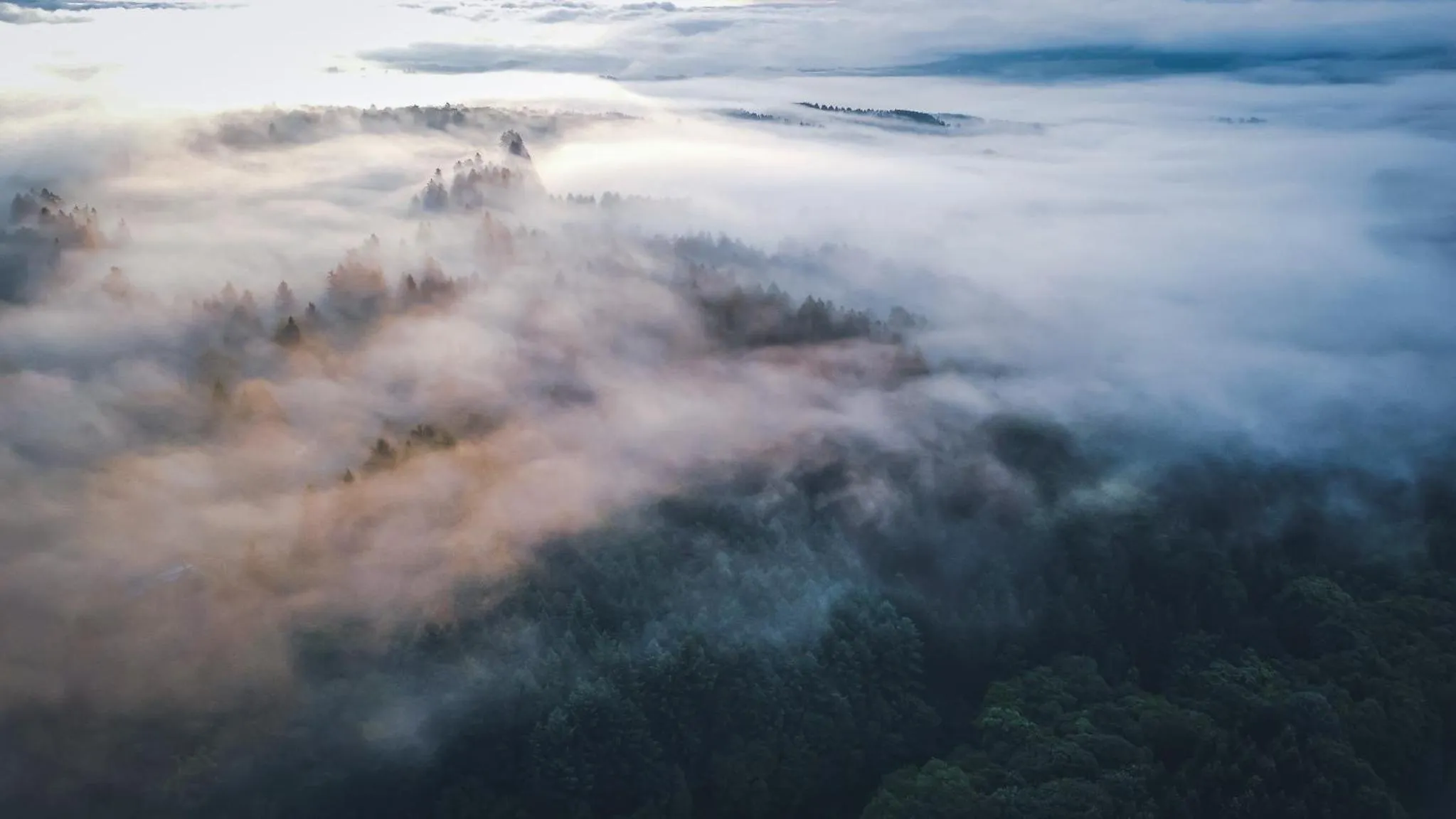 Natural landscape in Marienhöh - Hideaway & Spa