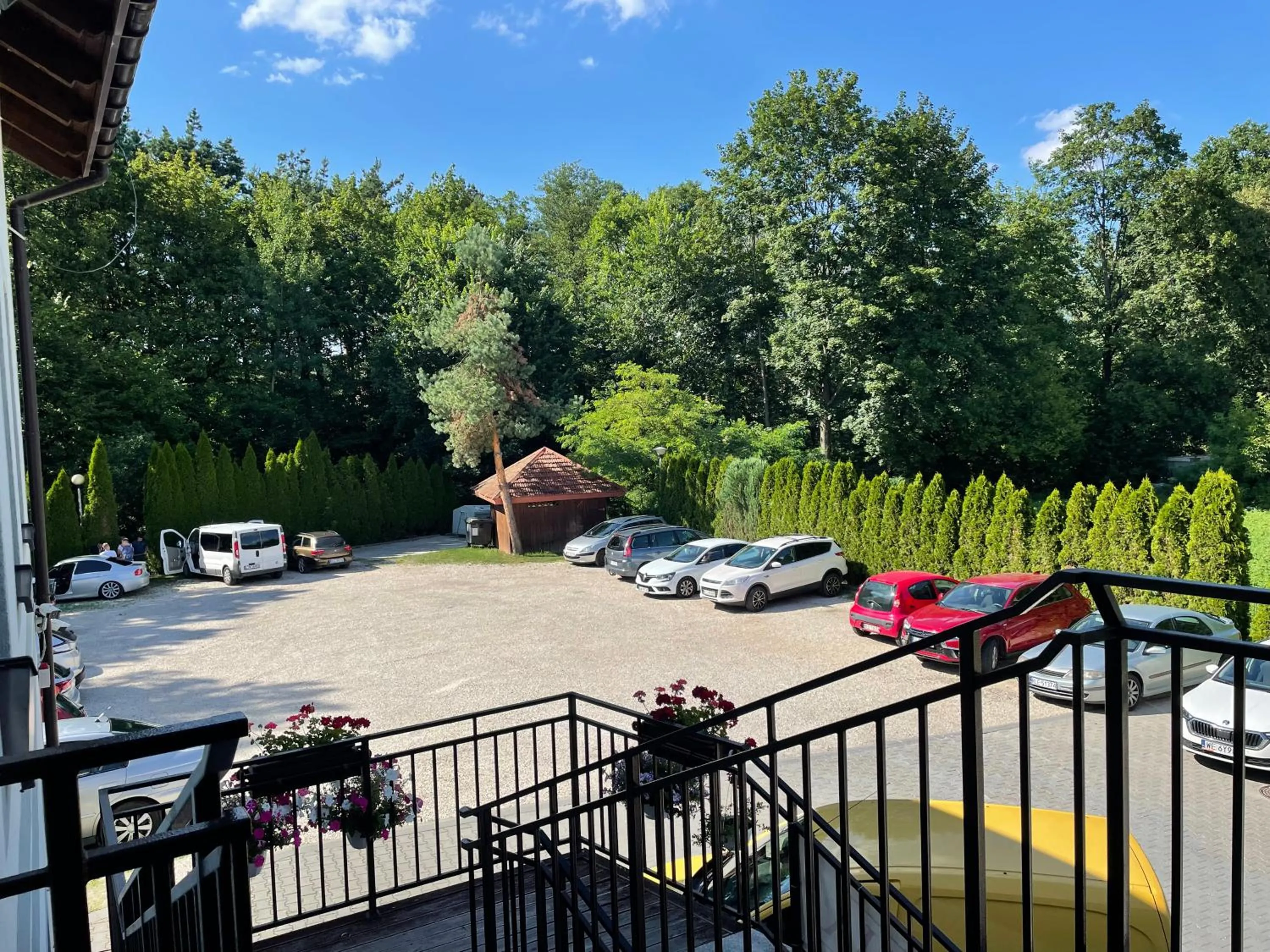 Spring in Zakarczmie Stokrotka