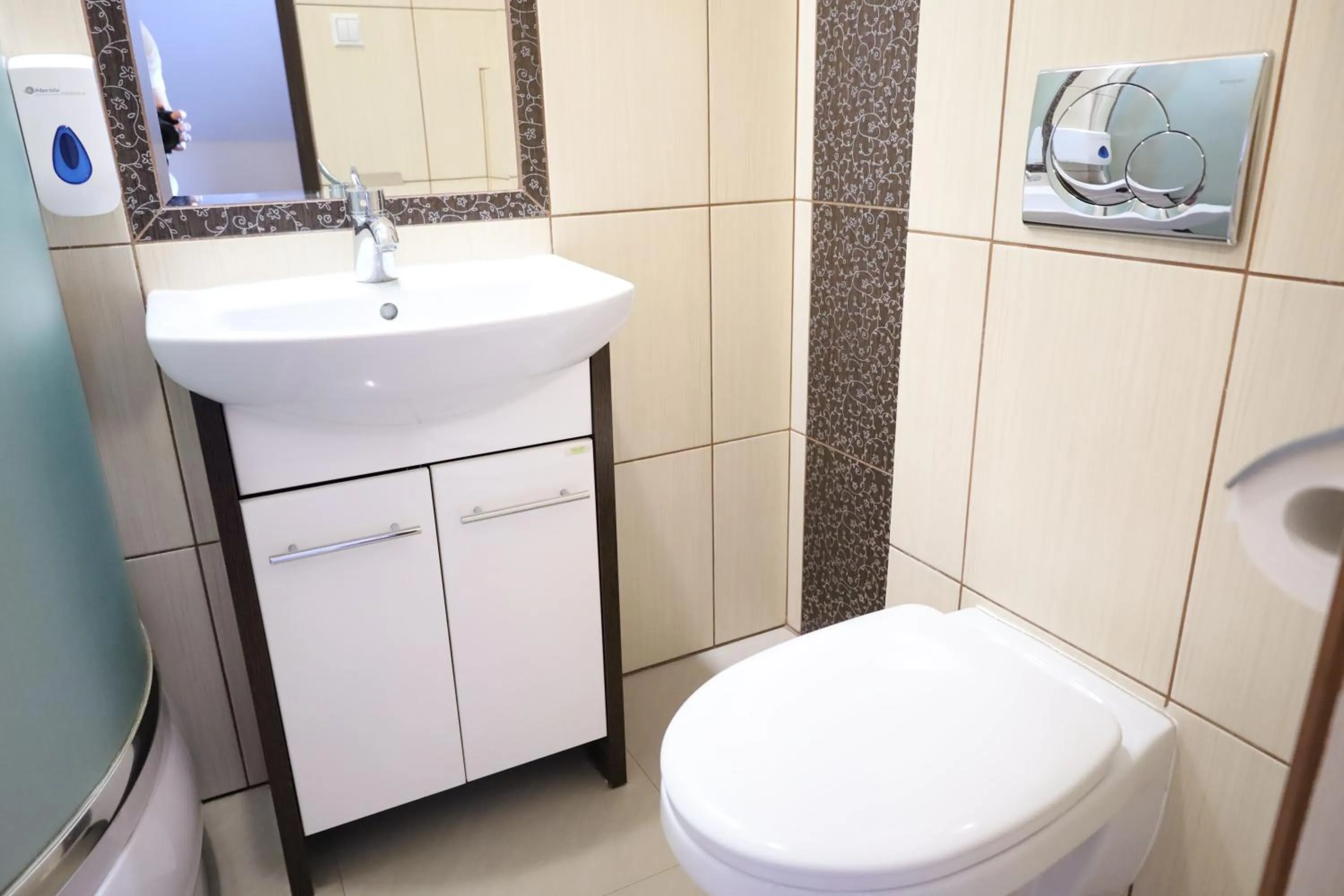 Toilet in Zakarczmie Stokrotka