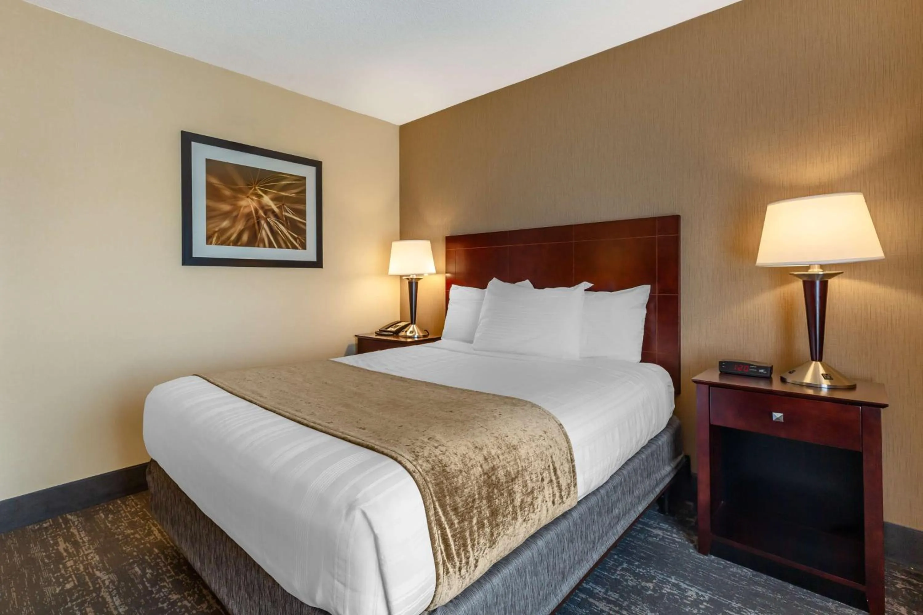 Bedroom, Bed in Best Western Braintree Inn