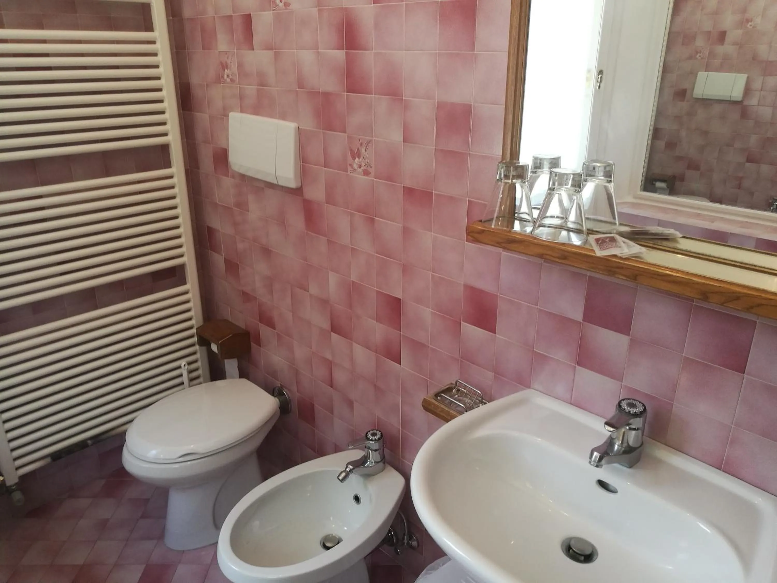 Toilet in Hotel Fiames