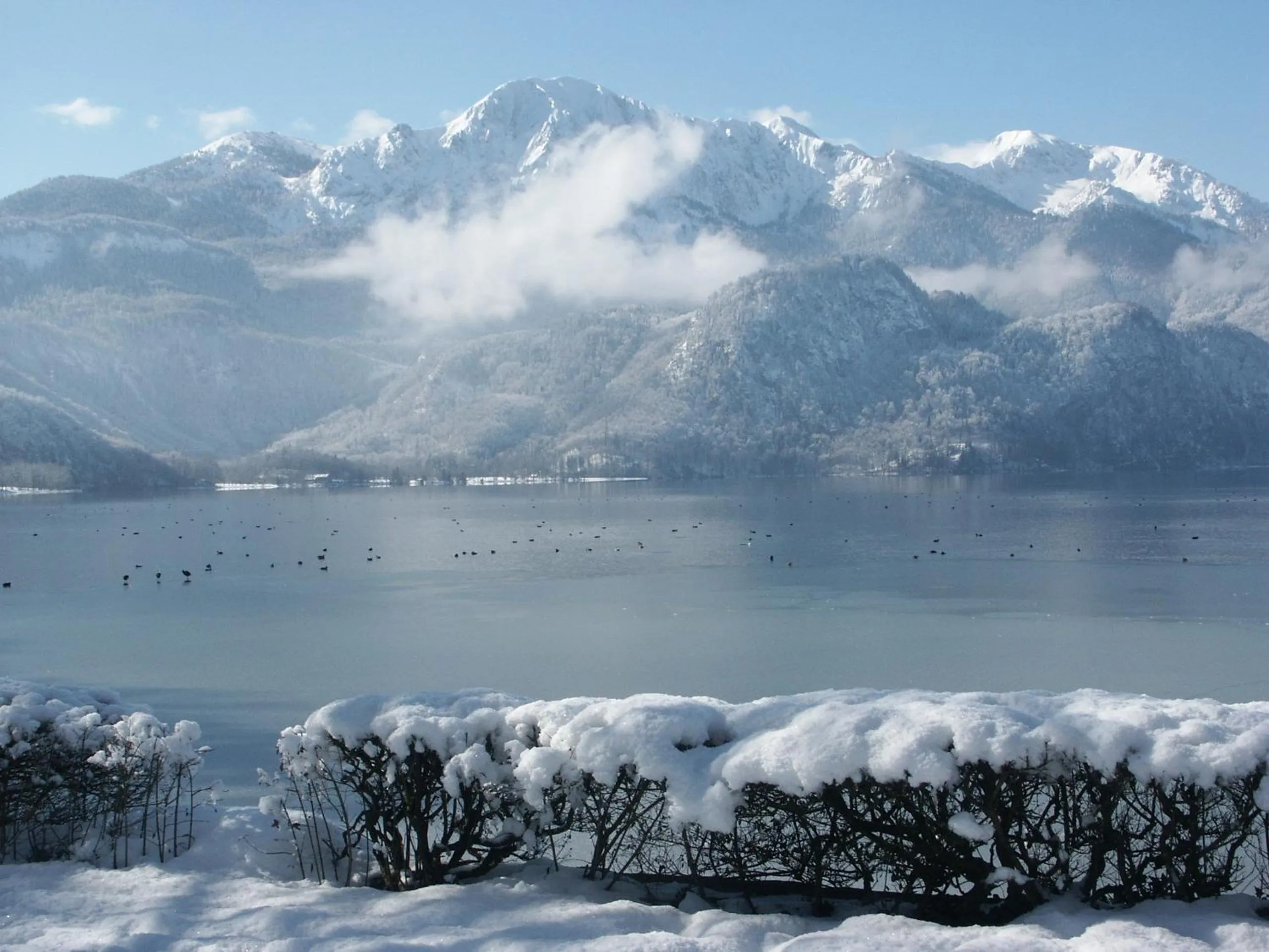 Area and facilities in Hotel Sonnenspitz ***